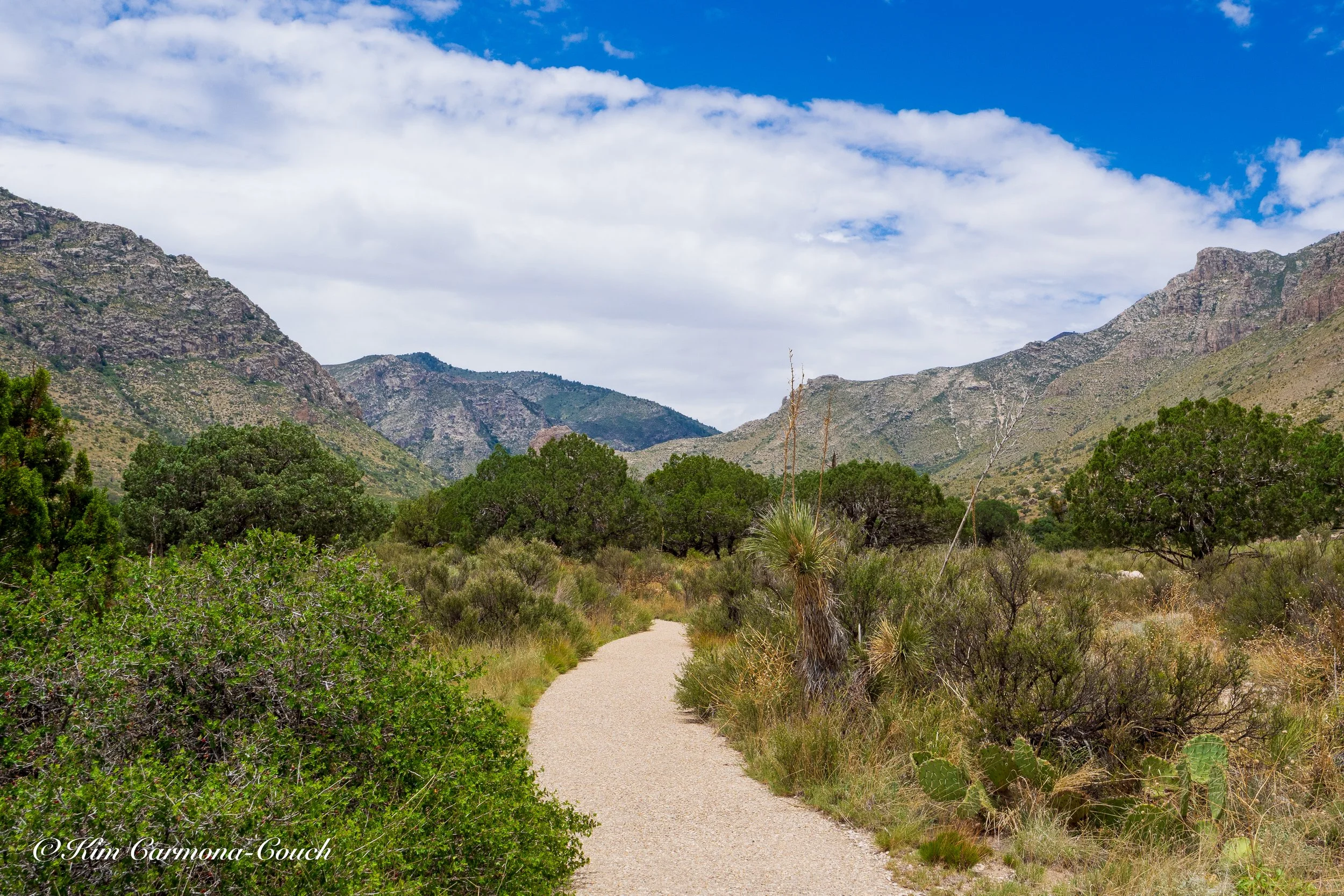 Guadalupe Mountains National Park: What You Need to Know Before You Go