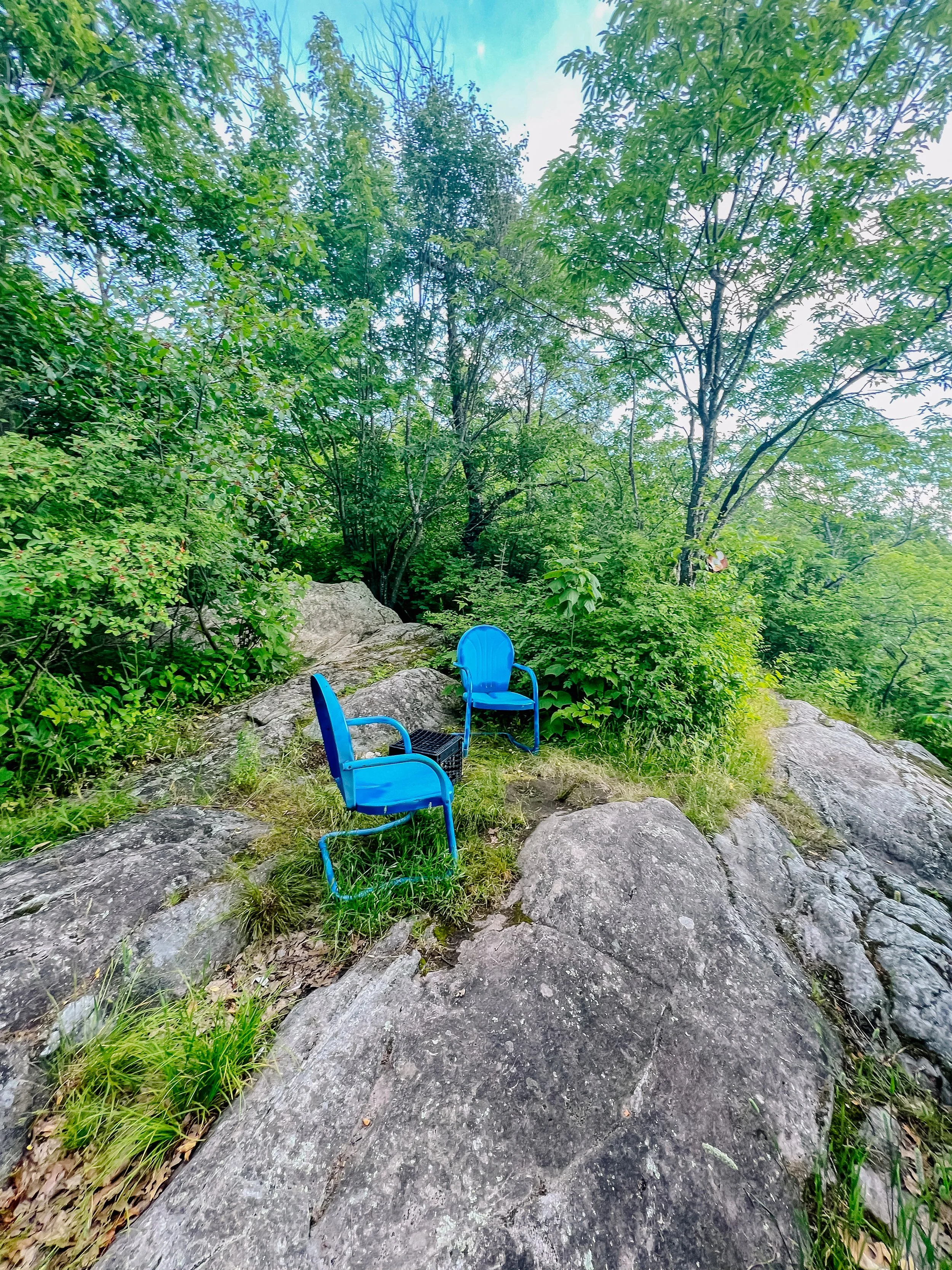 Two blue chairs on a rock surrounded by lush green trees and foliage outdoors.