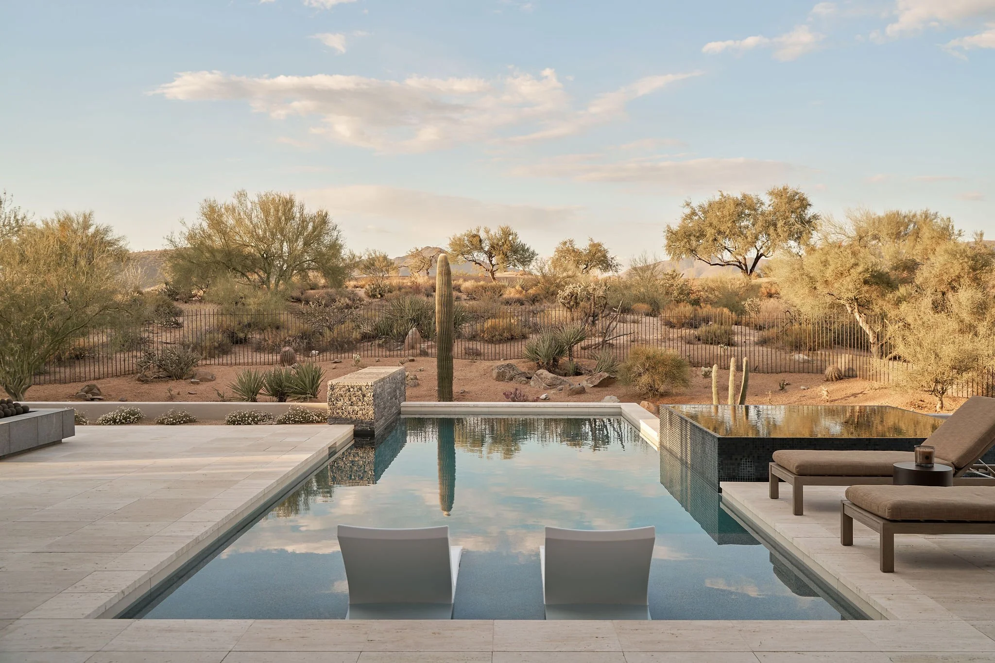 landscape design overlooking desert and a pool.jpg