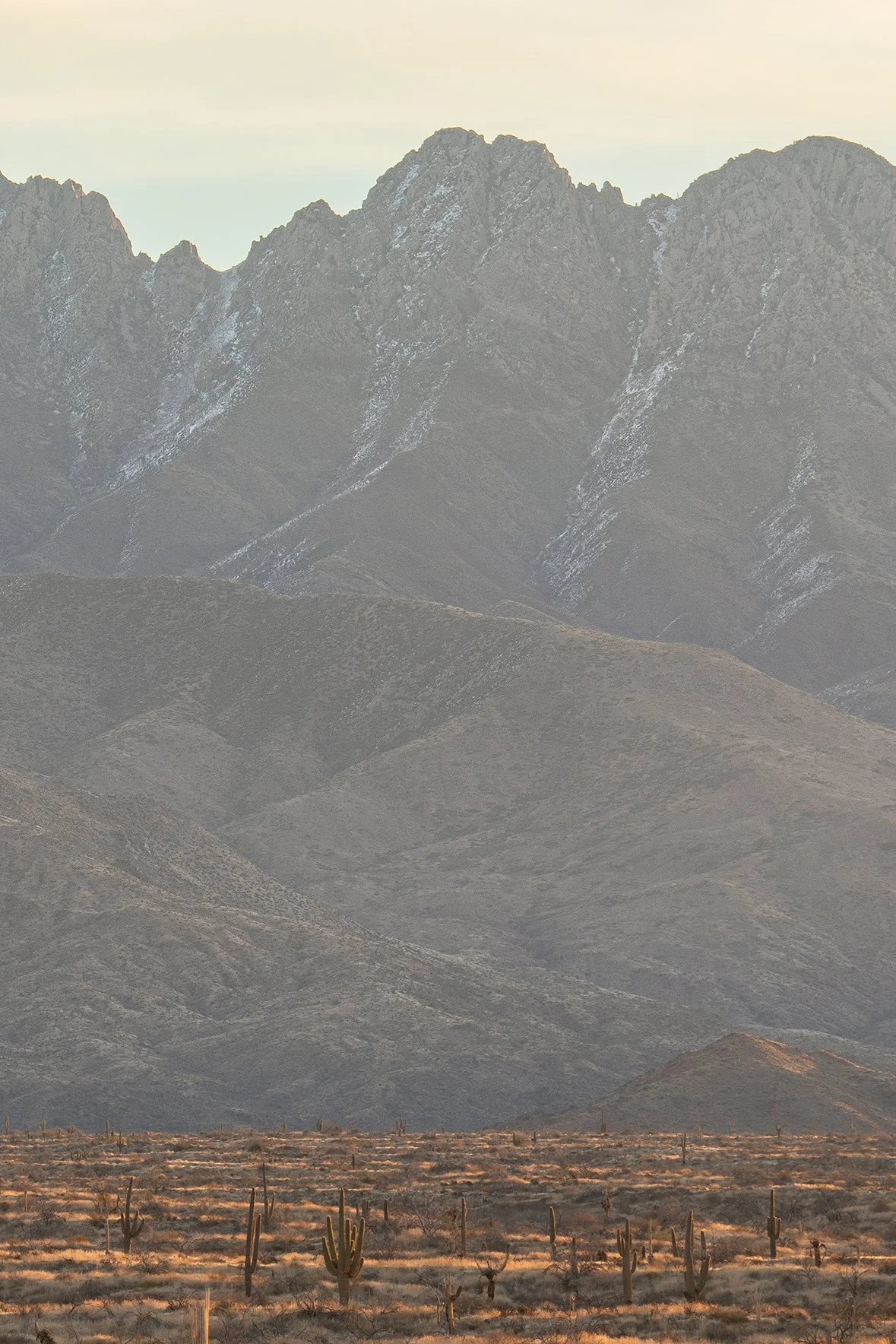 Close up of 4 peaks art.jpg