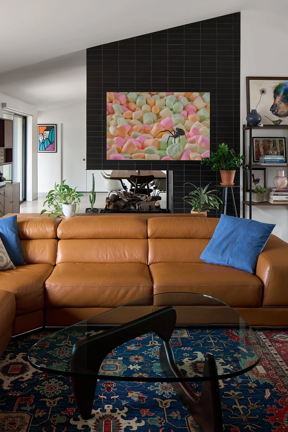 interior image with spider picture.jpg