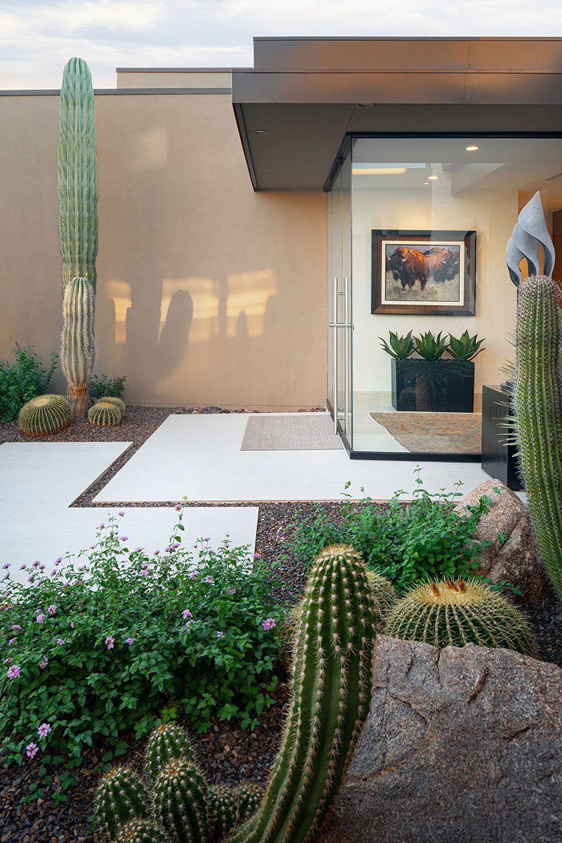 modern museum exterior with cacti and desert landscaping by architectural photographer