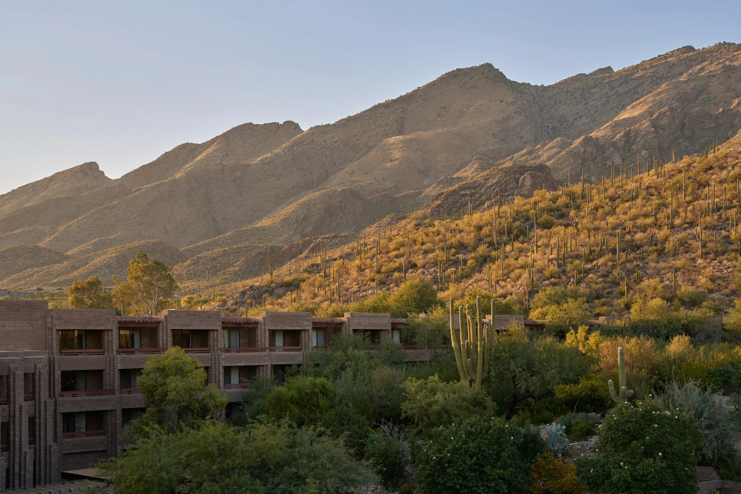 Exterior hotel image taken at golden hour.jpg