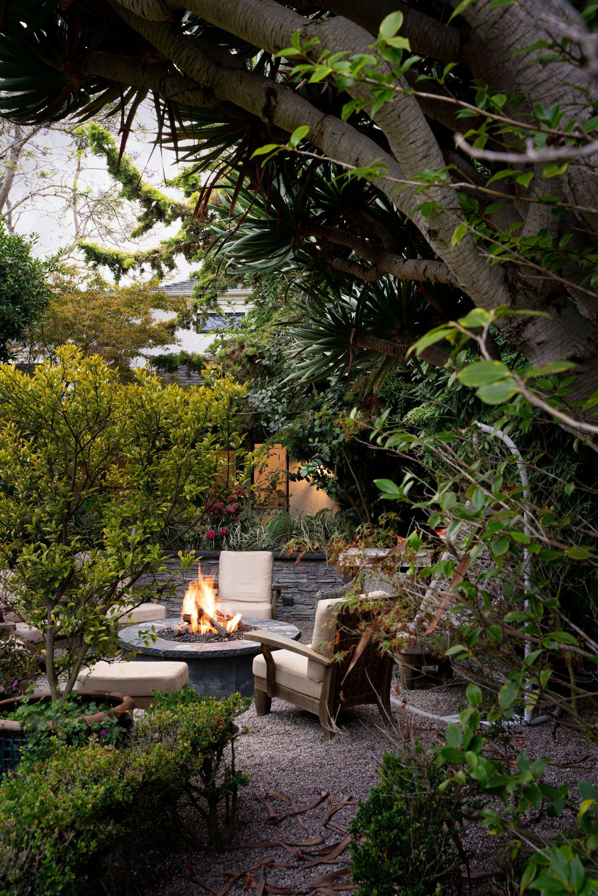 a lush and full garden in a back yard with a fire pit