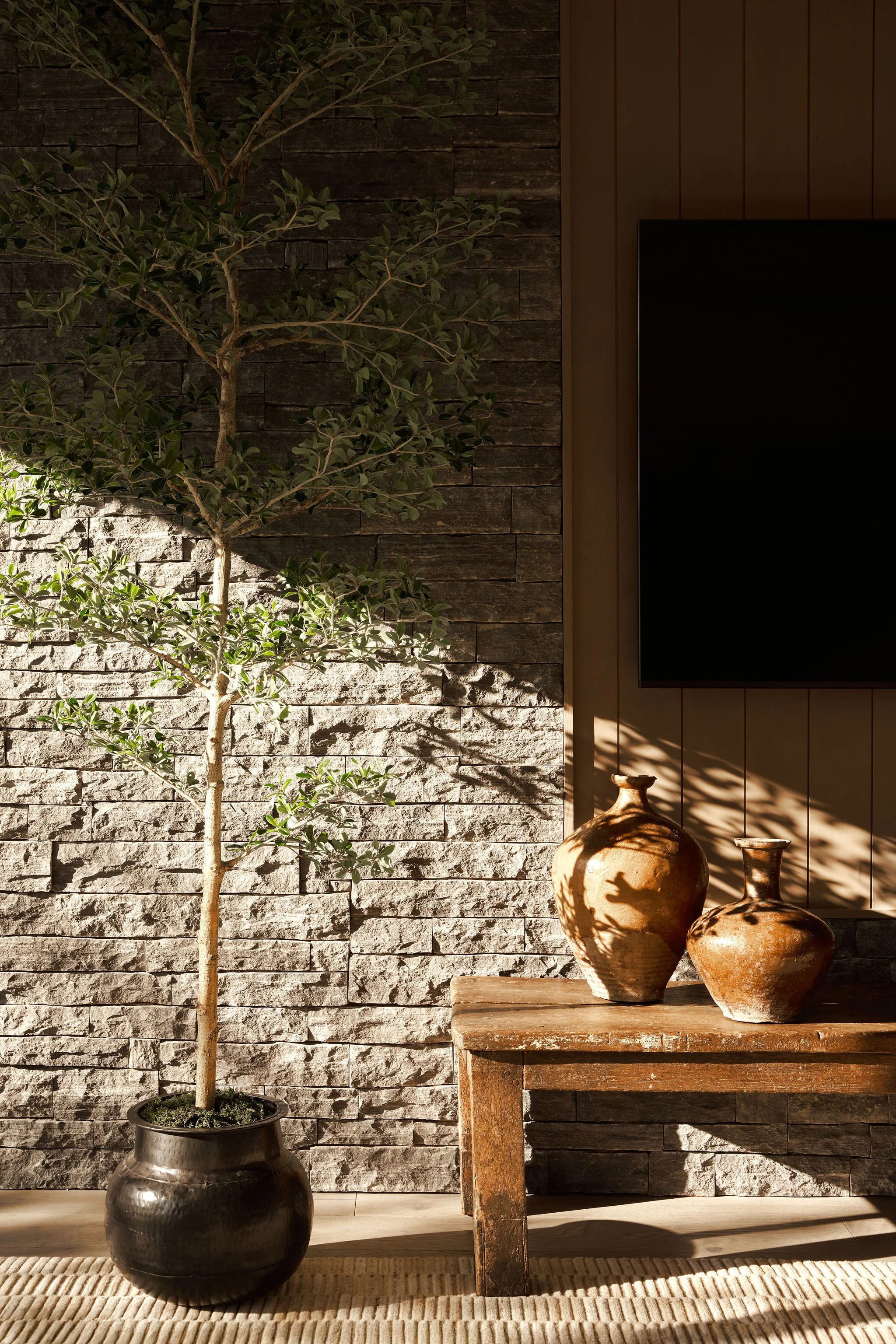 Detail image in desert home.jpg