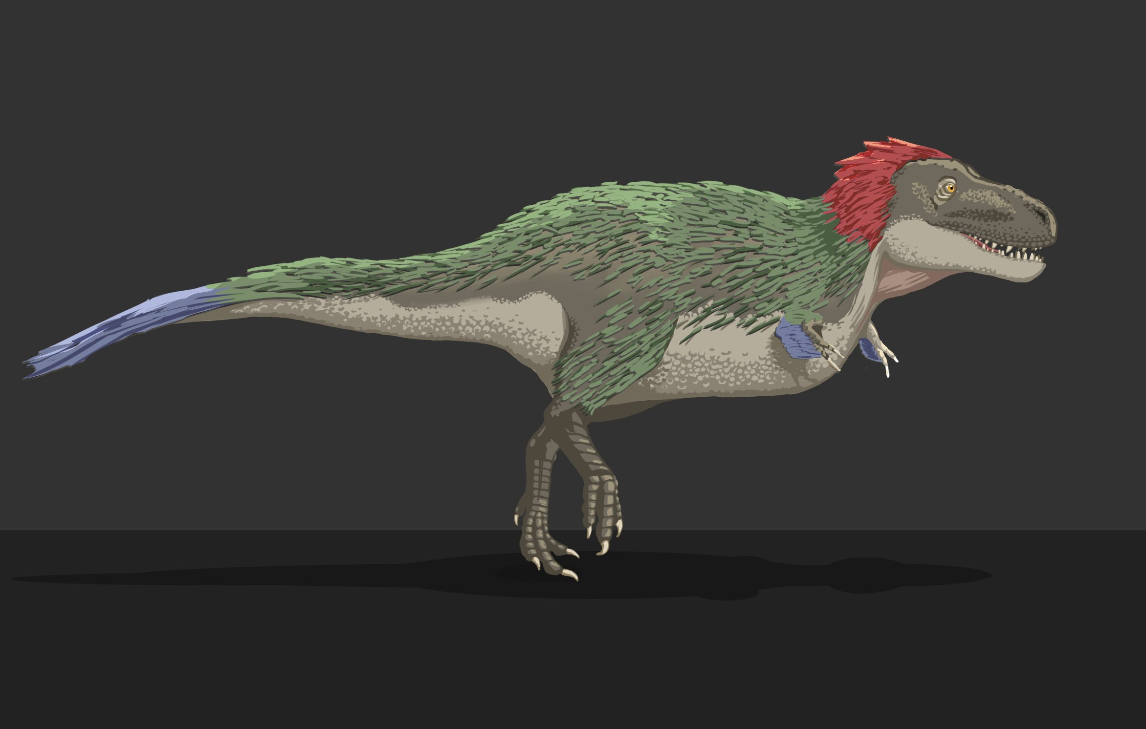 Sue the T Rex Drawing, Feathers, Skin, Muscle