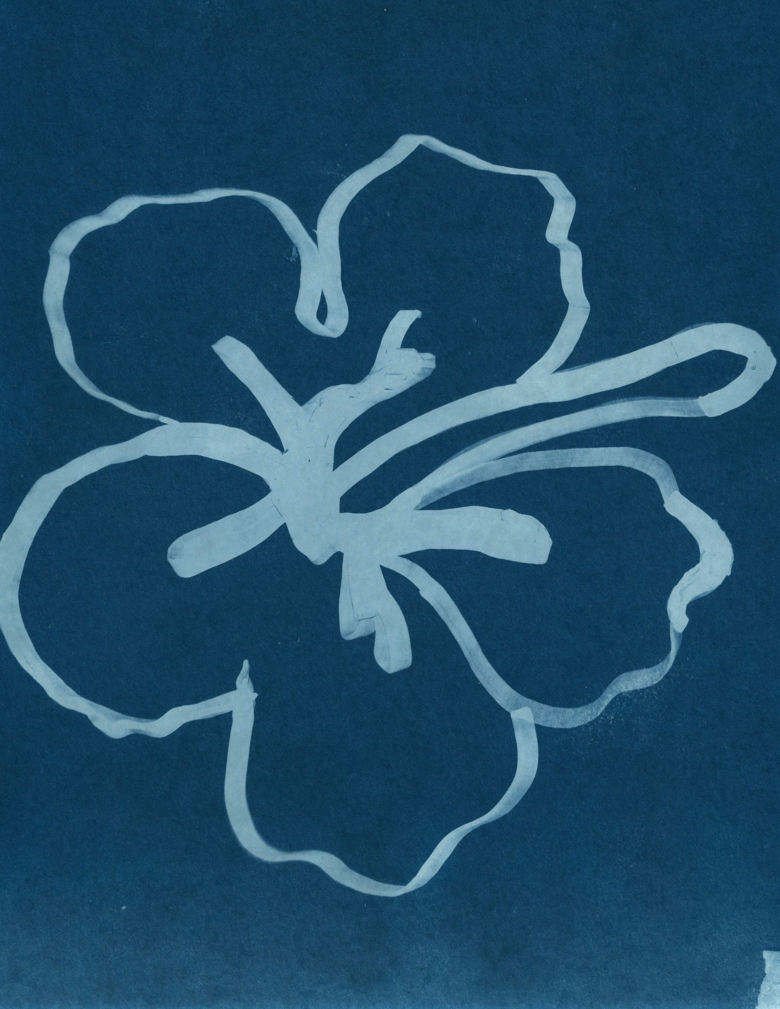 Hibiscus 2 Print