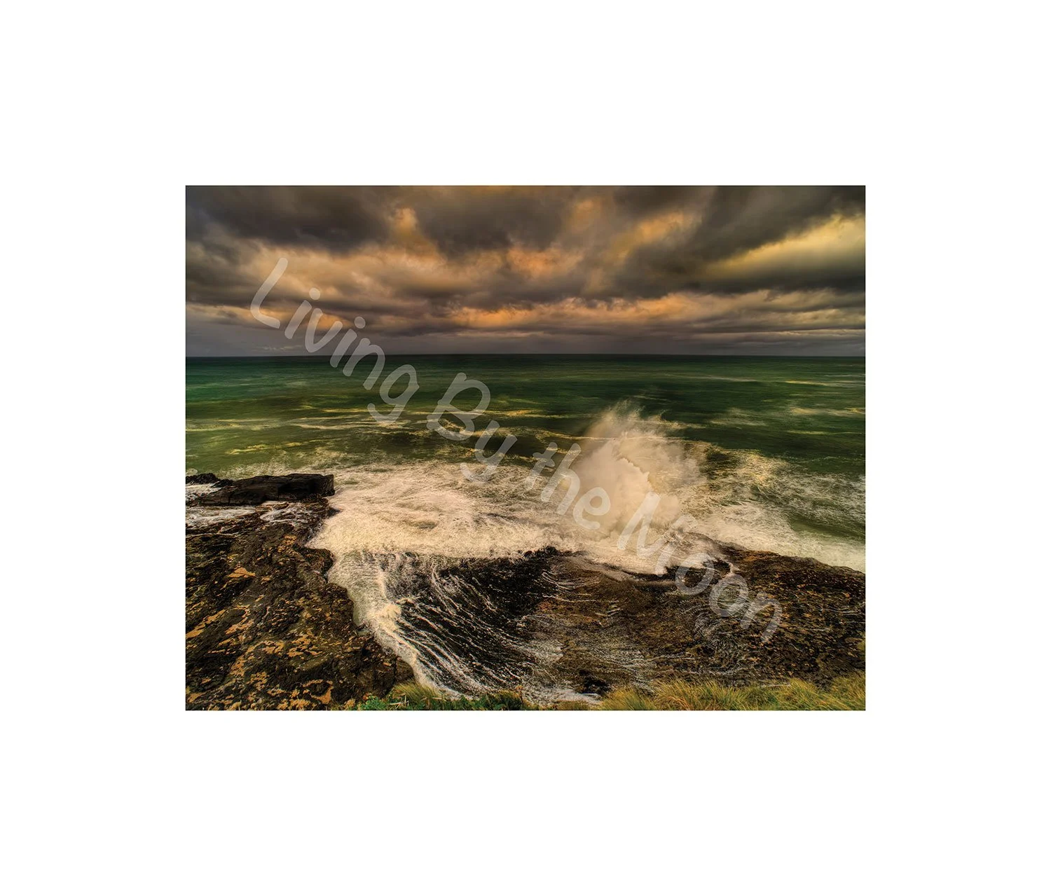 Splish Splash Print Digital