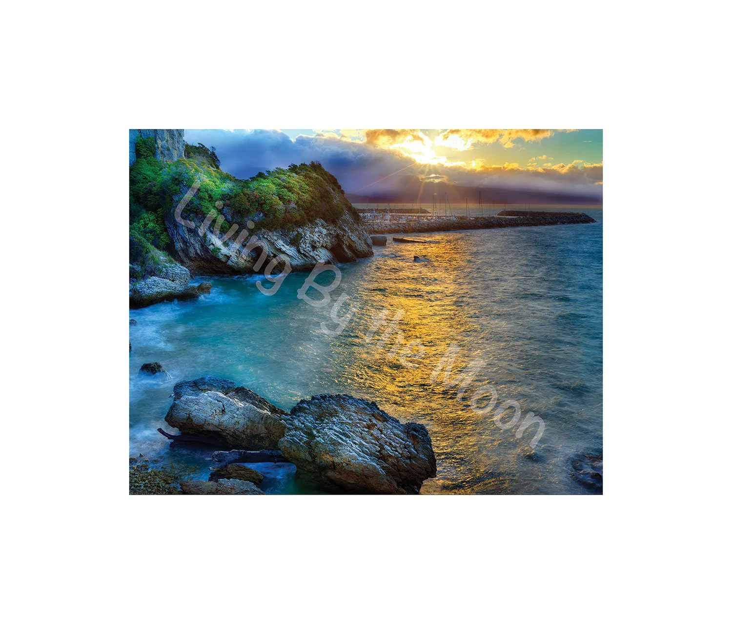 Reflecting Light Print Digital