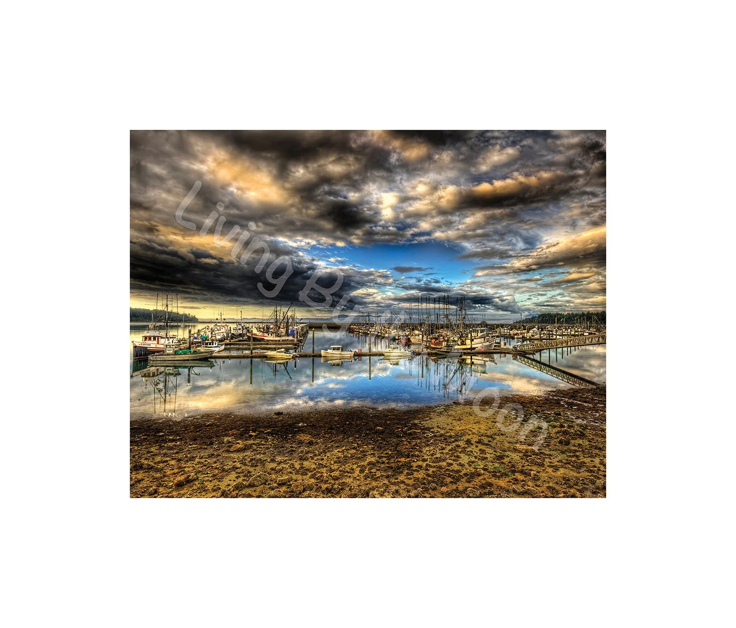 Boat Buffet Print Digital