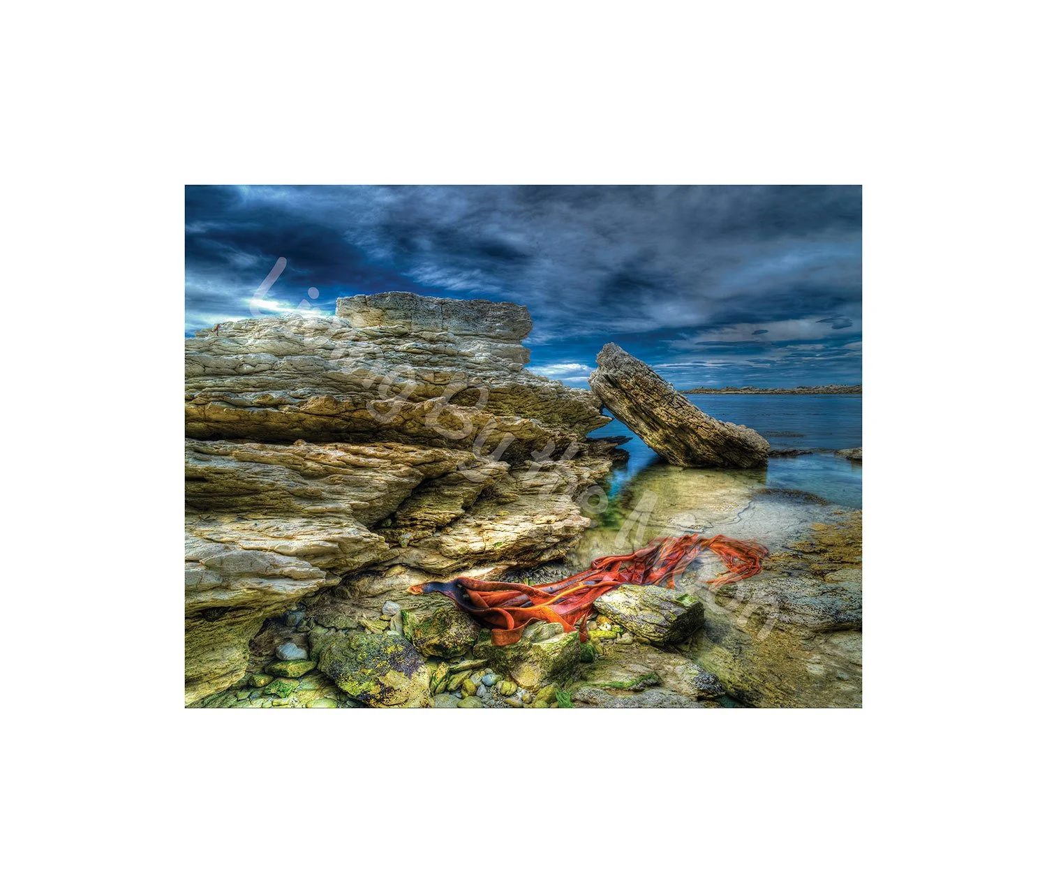 Red Noodles Print Digital