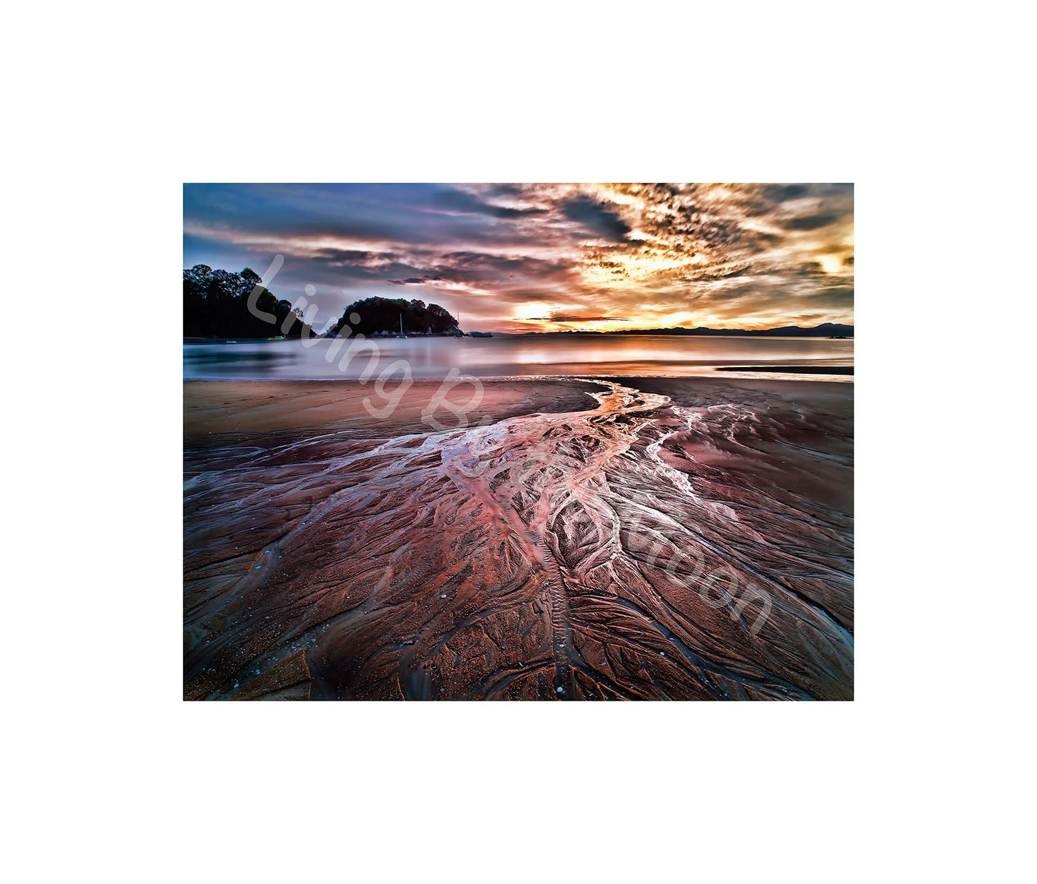 Muddy Shores Print Digital