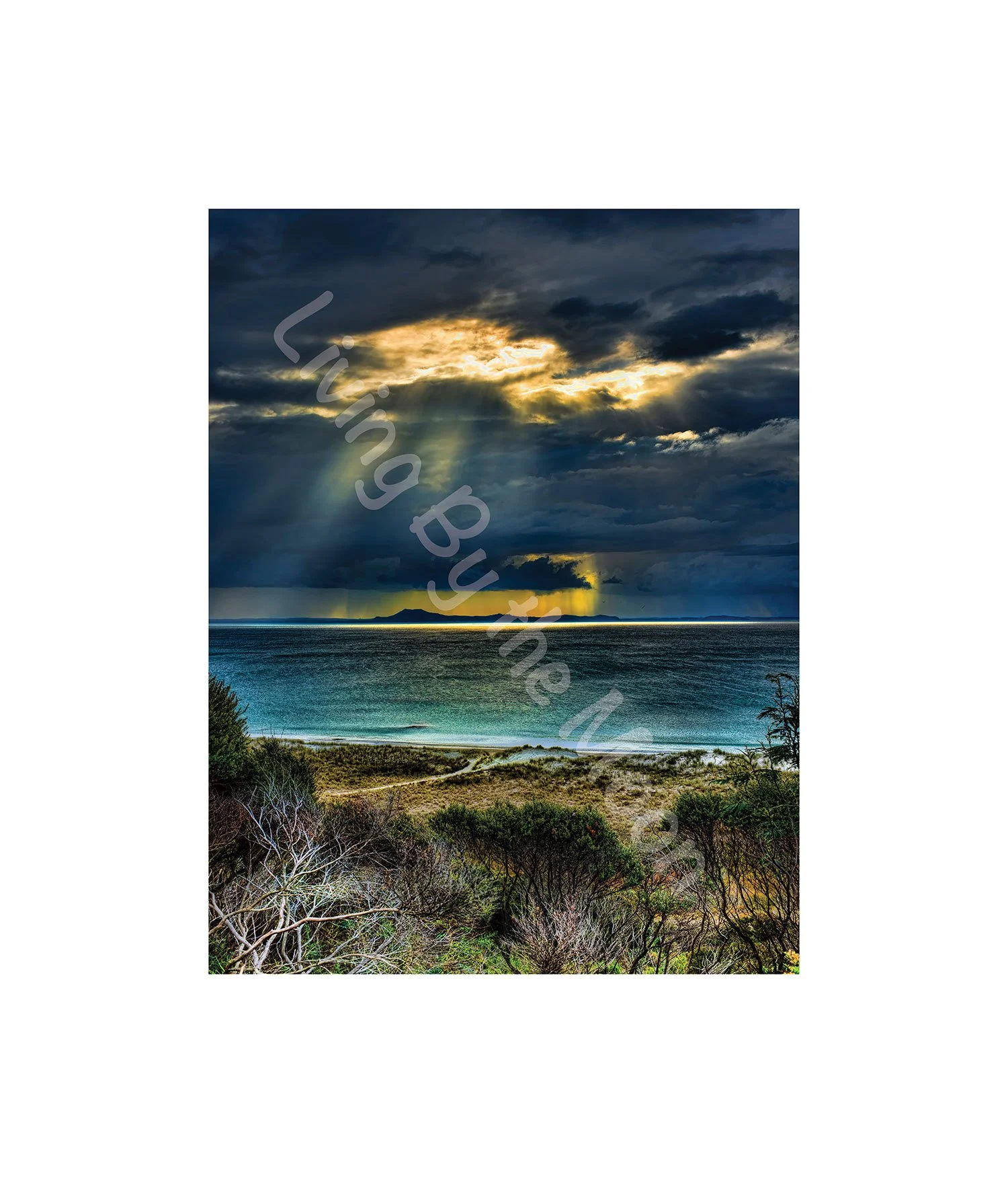 Rays of Hope Print Digital