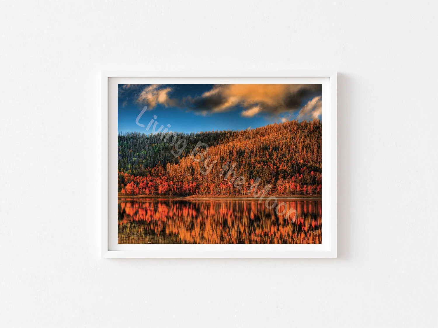 Colored Reflection Print White Frame Digital
