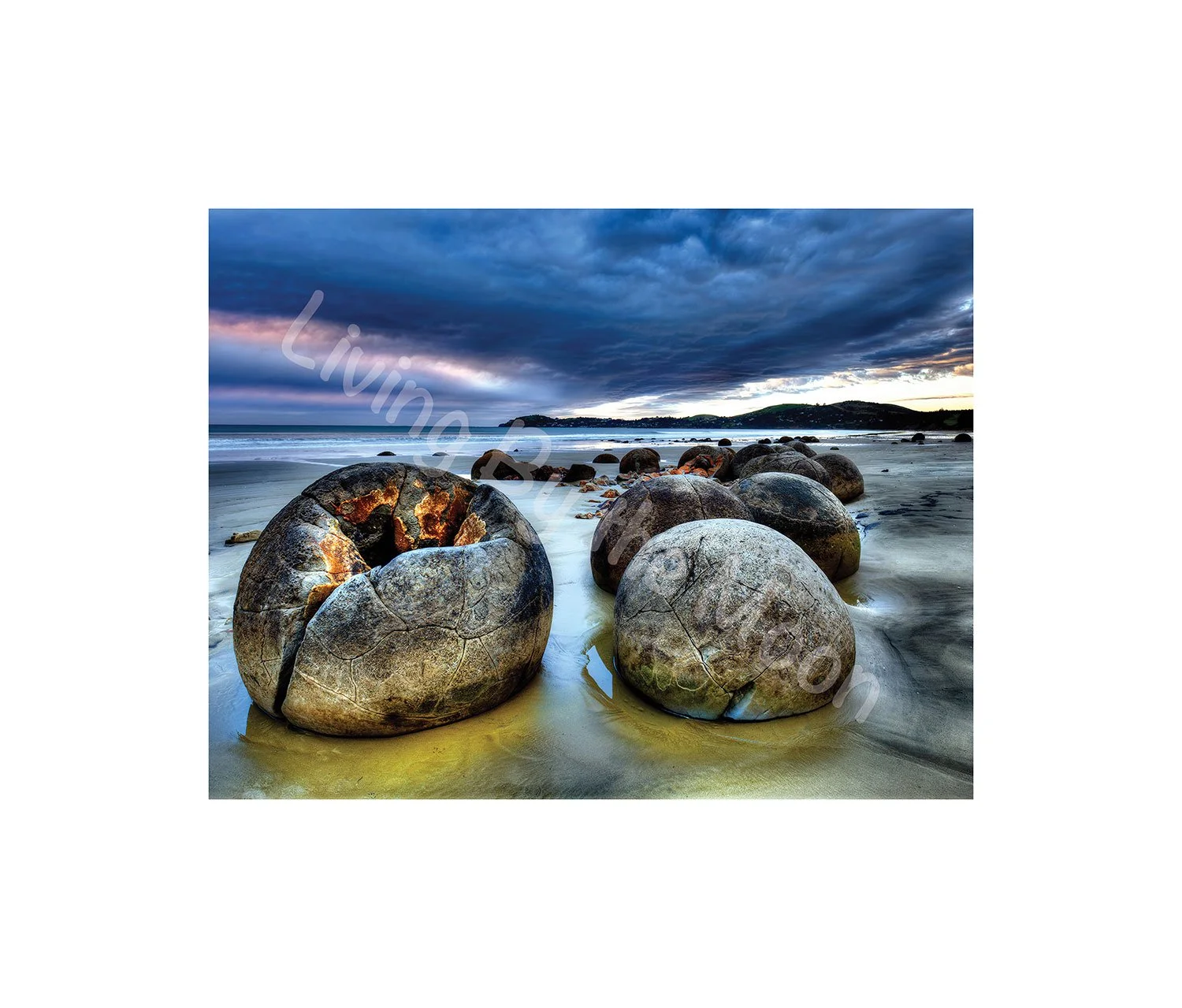 Rock Eggs Print Digital