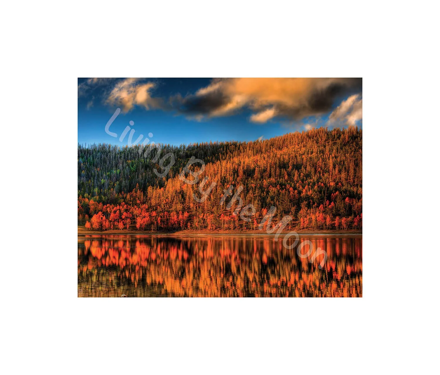 Colored Reflection Print Digital