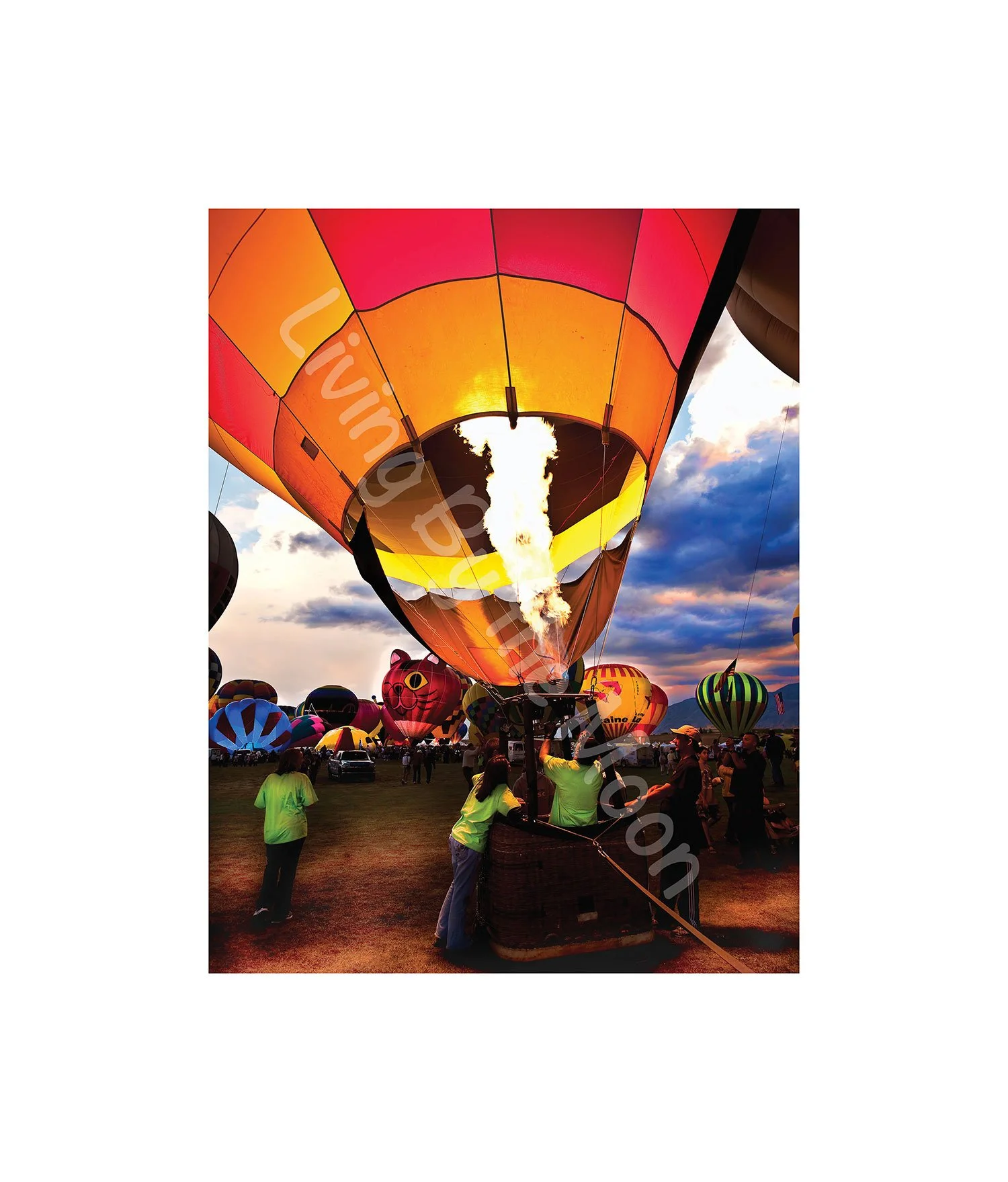 Balloon Ride Print Digital