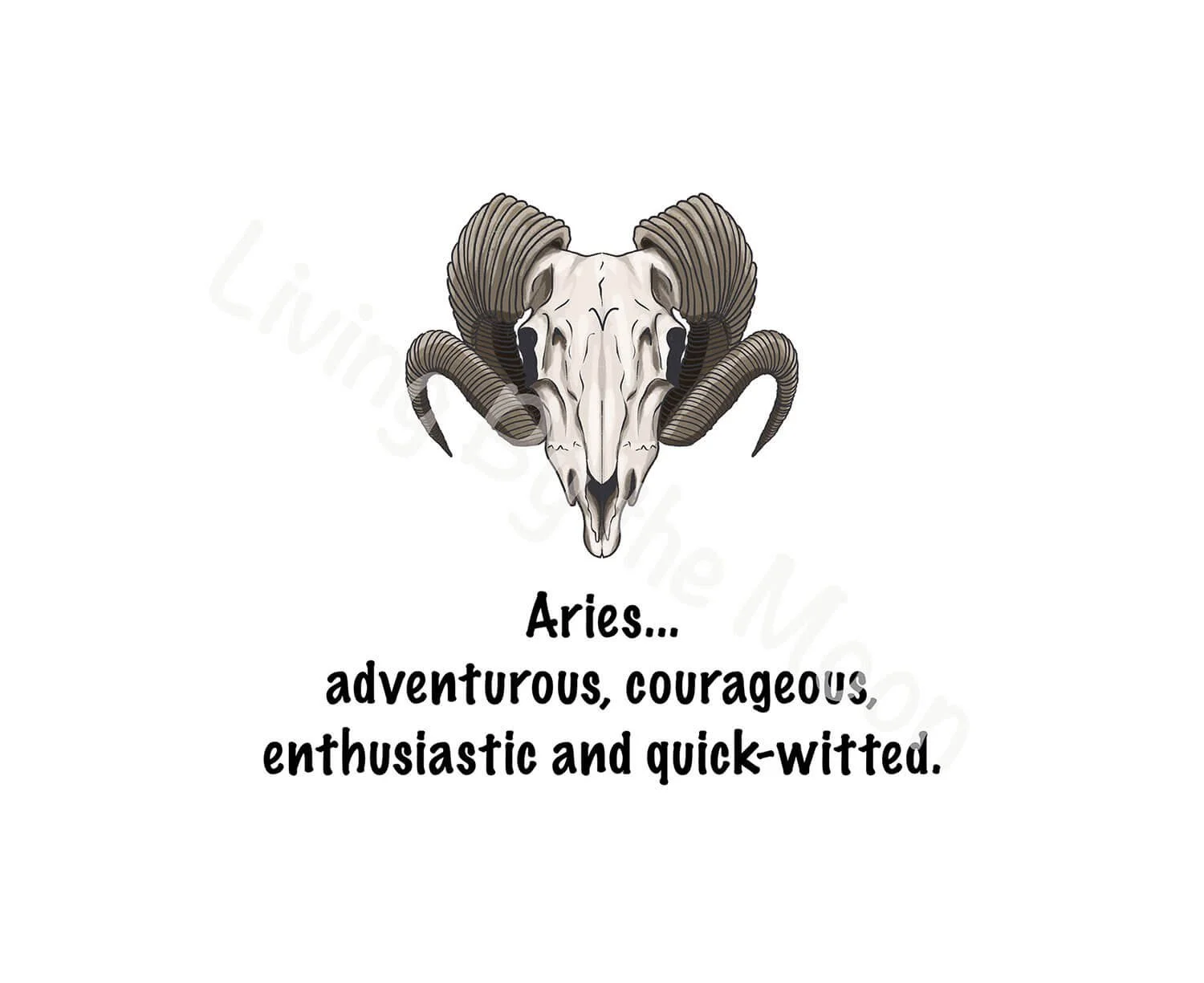 Aries Print Digital