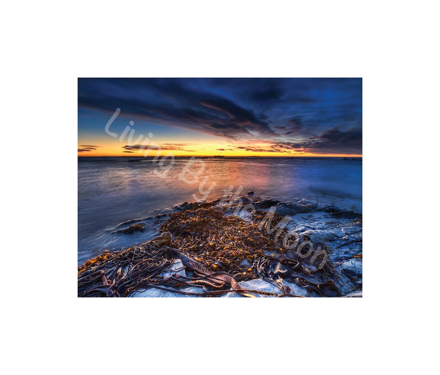 Fading Day Print Digital