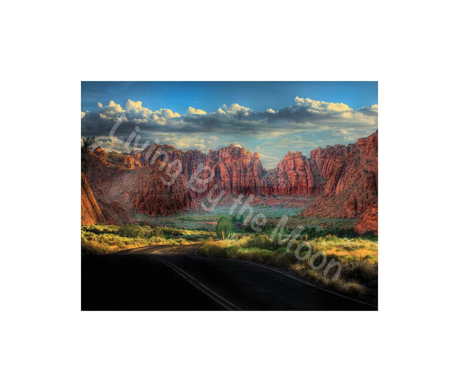 Desert Wanderings Print Digital