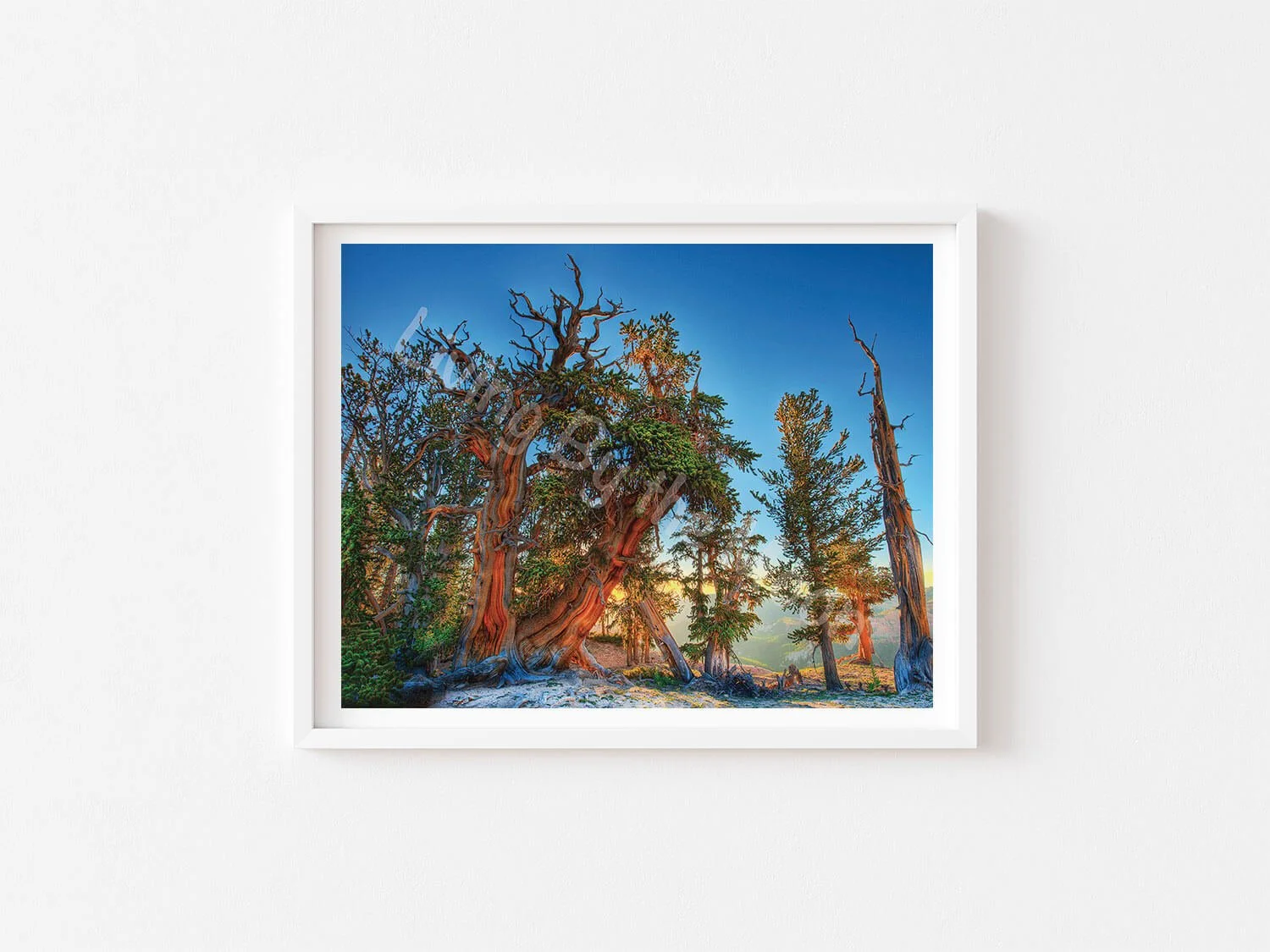 Good Morning Print White Frame Digital