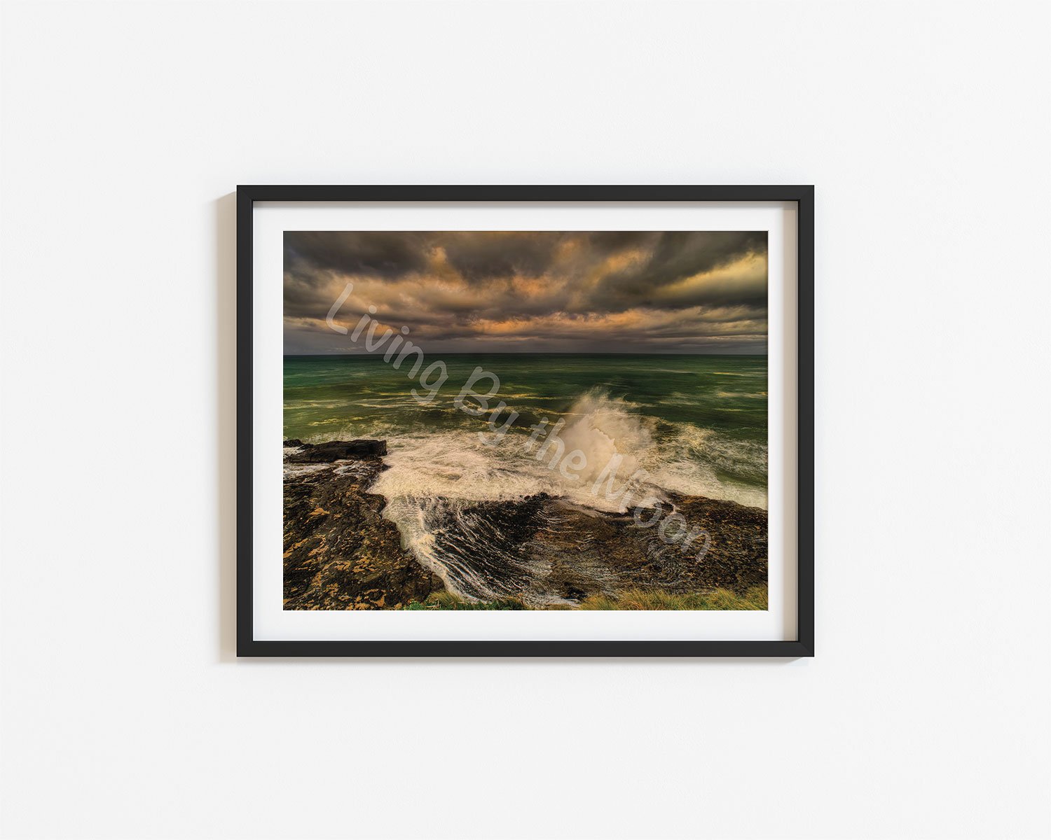 Splish Splash Print Digital