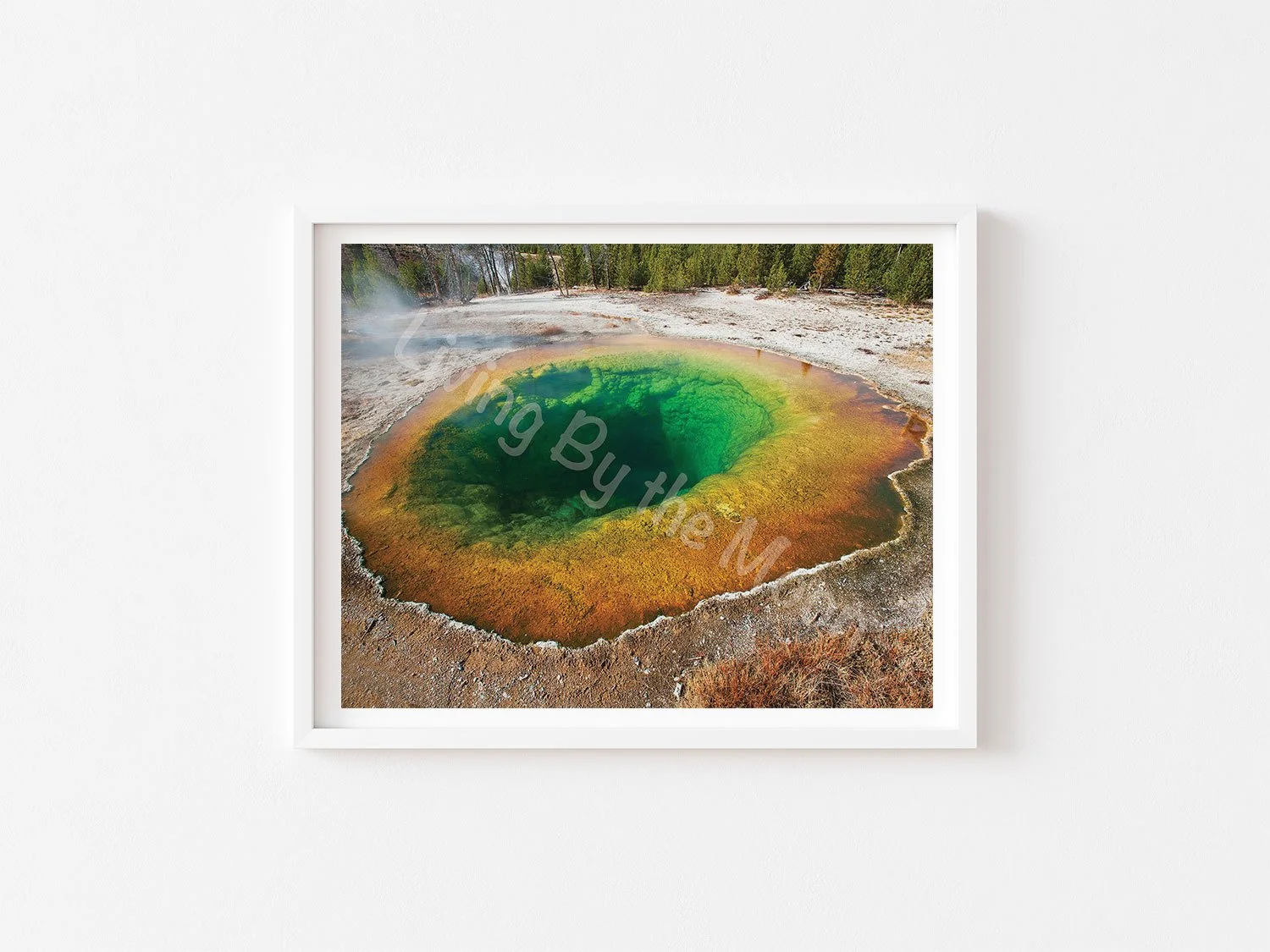 Green Hole Print White Frame Digital