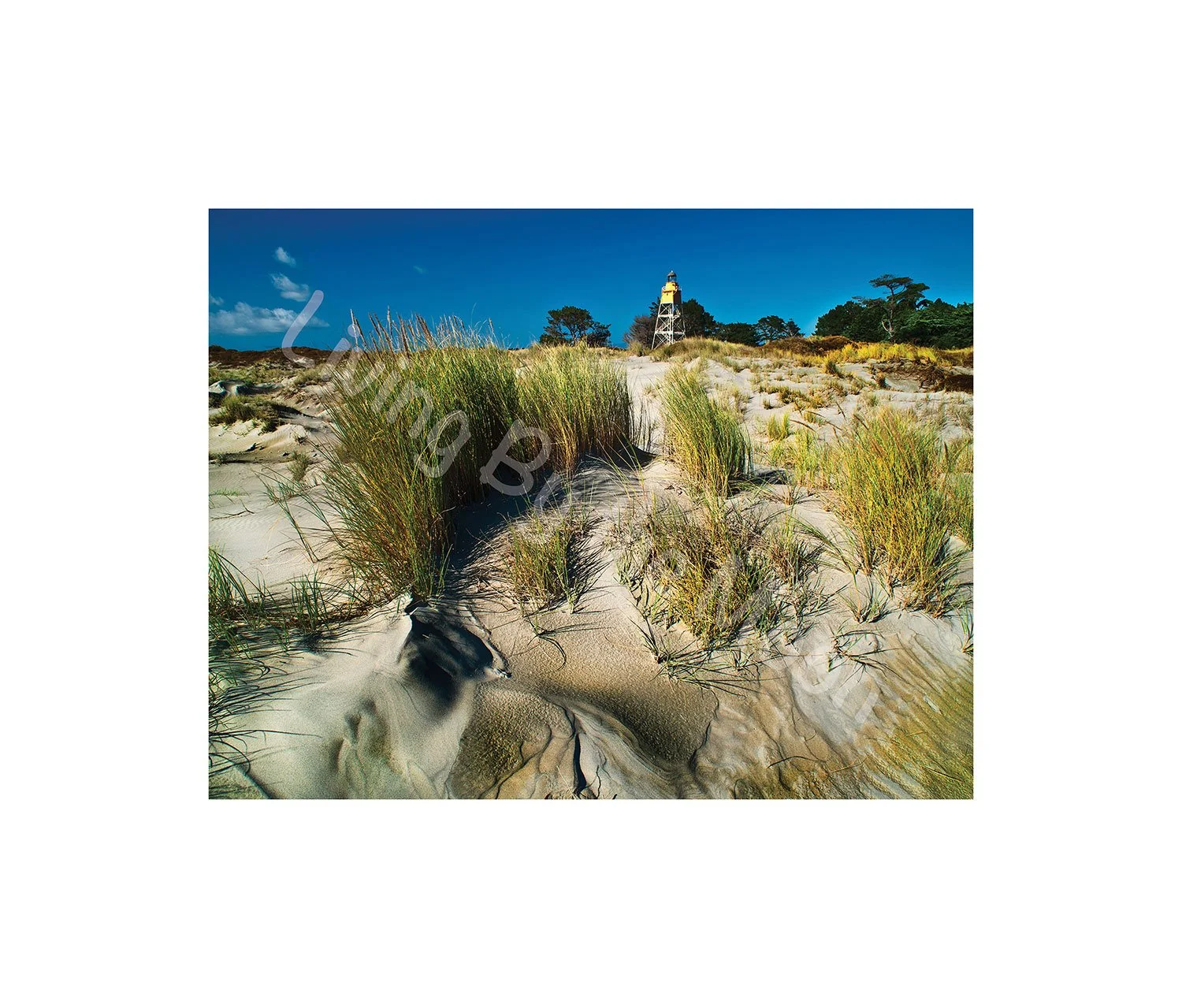 Sandy Beach Print Black Digital