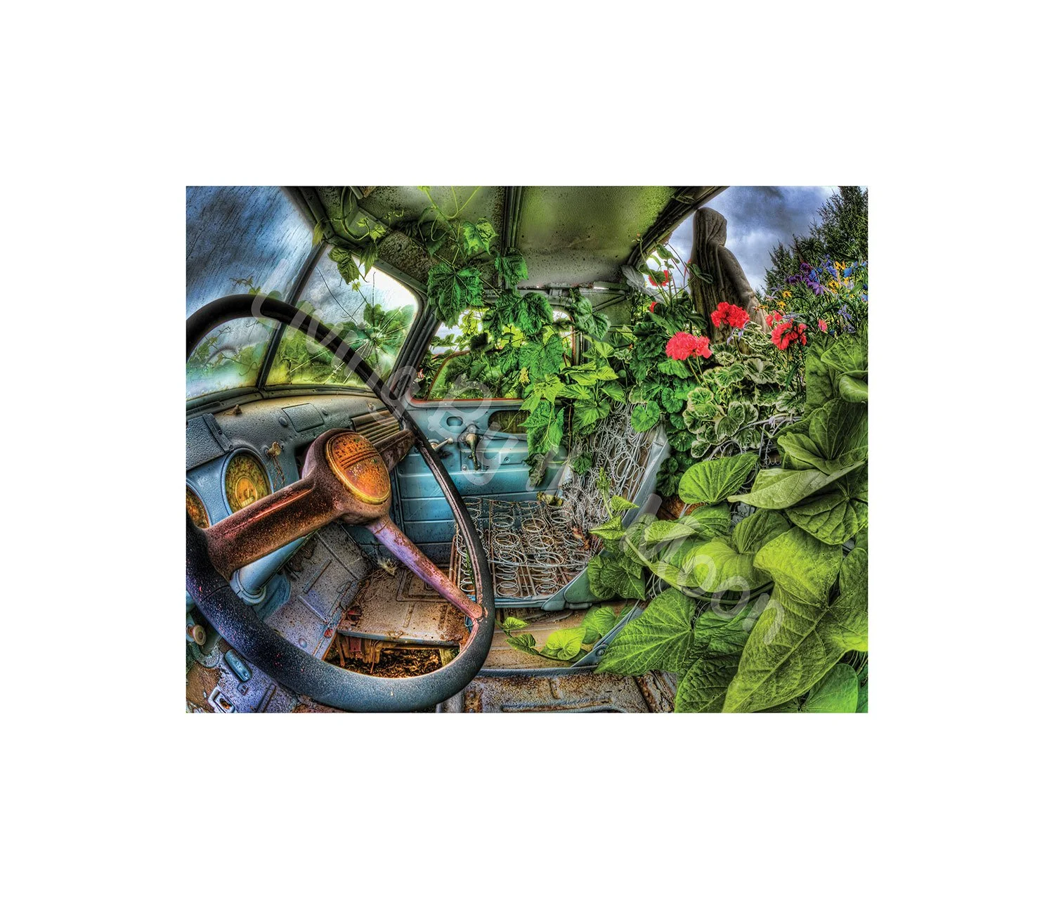 Green Hole Print Digital