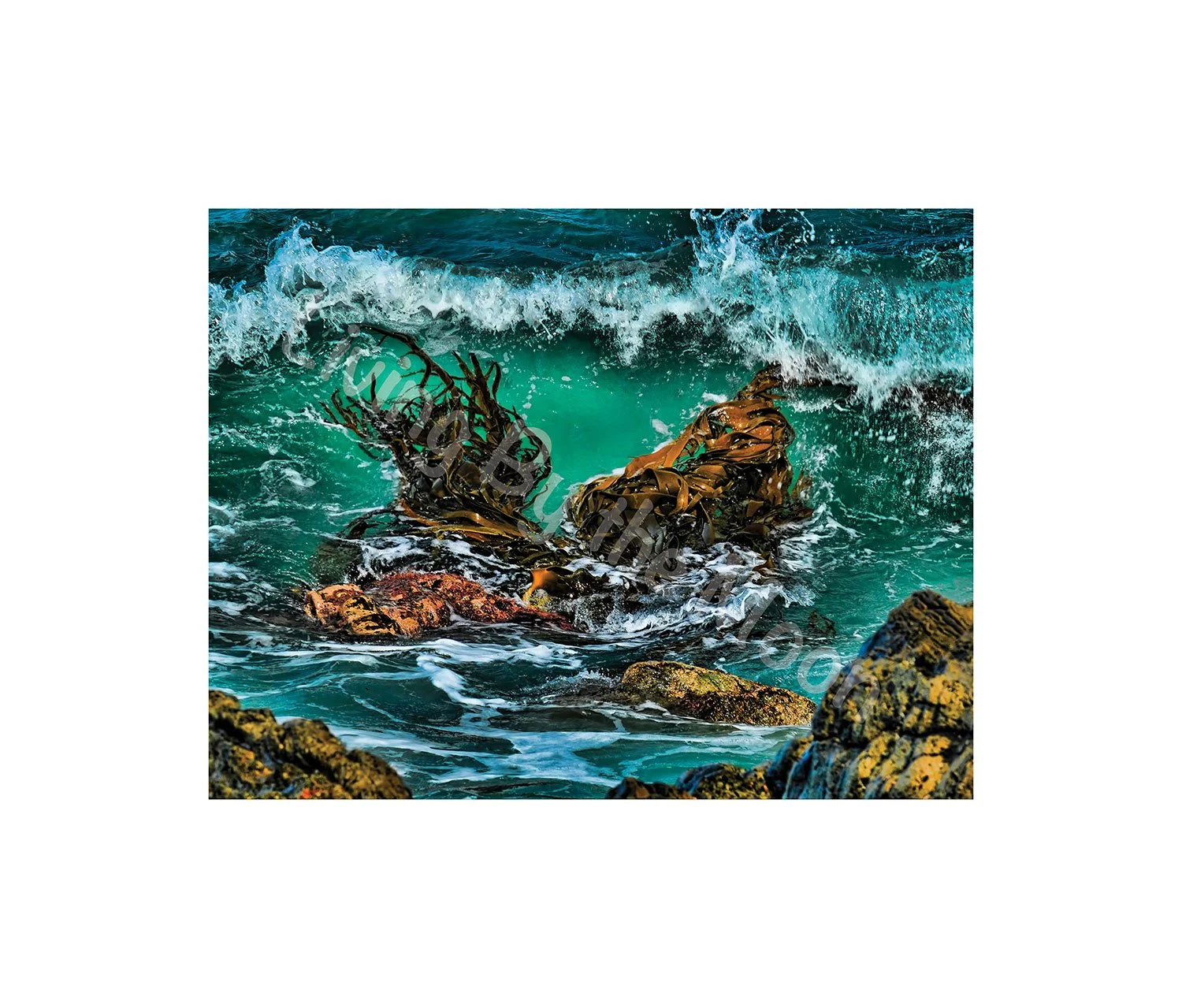 Seaweed Salad Print Digital