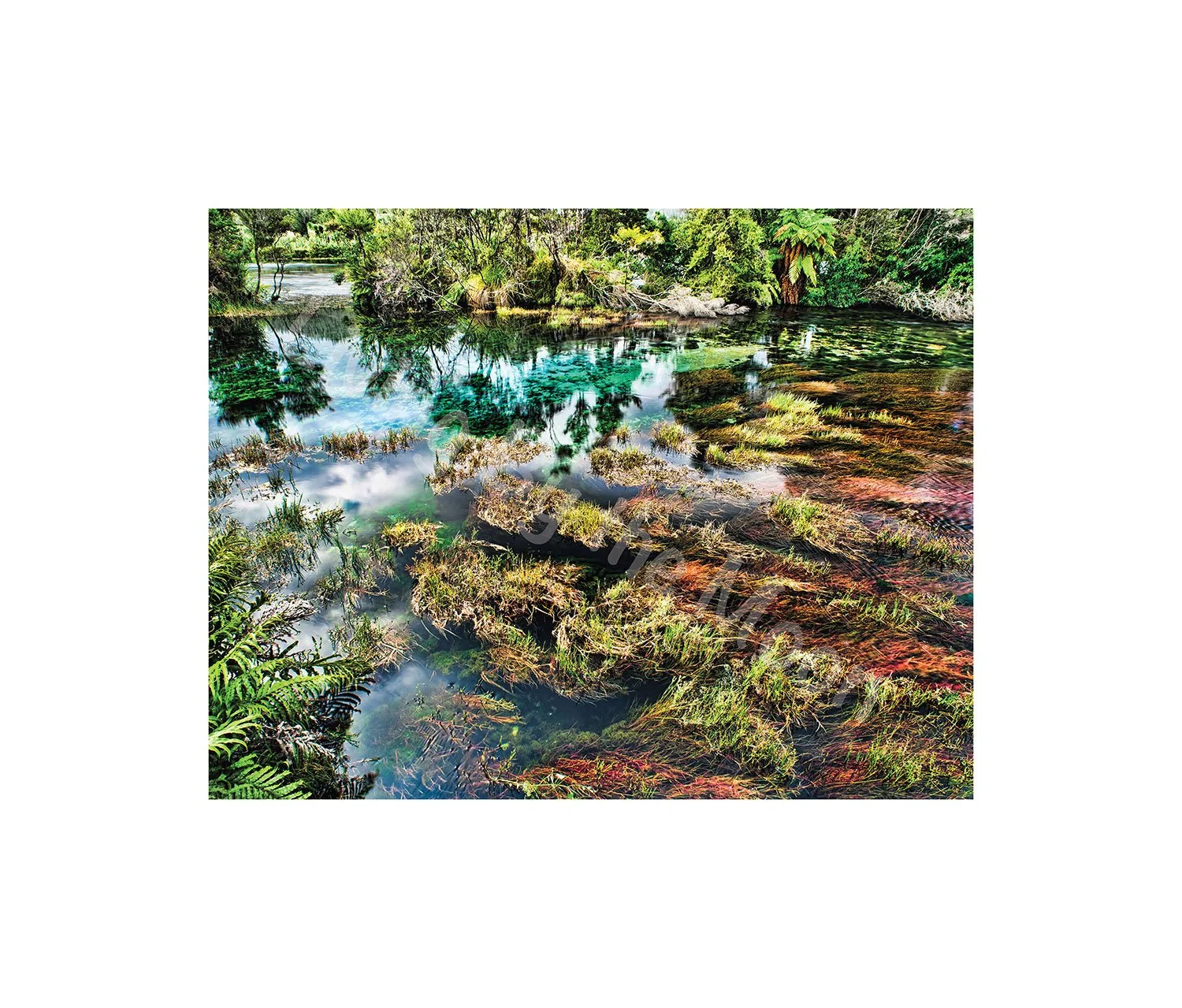 Shades of Nature Print Digital