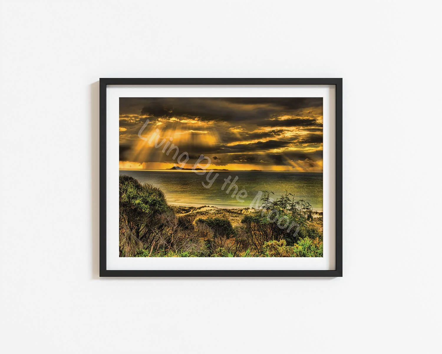 Evening Rays Print Digital