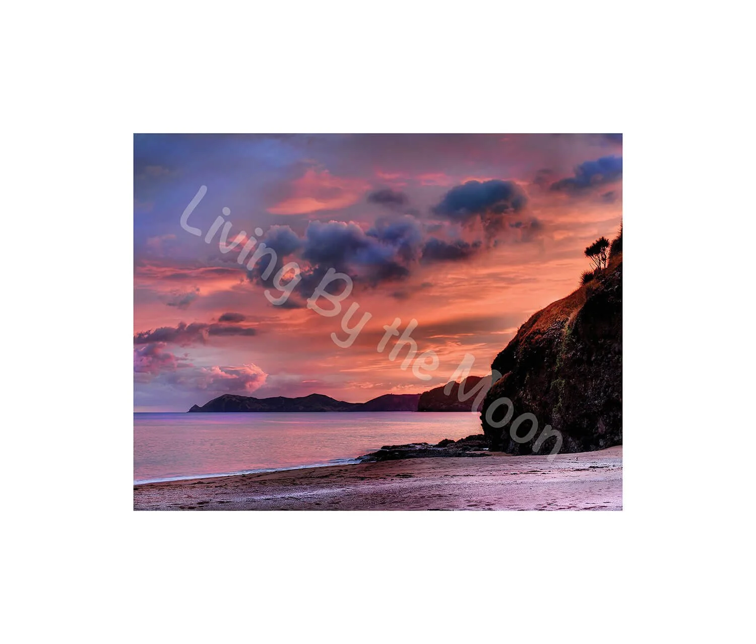 Lavender Evening Print Digital