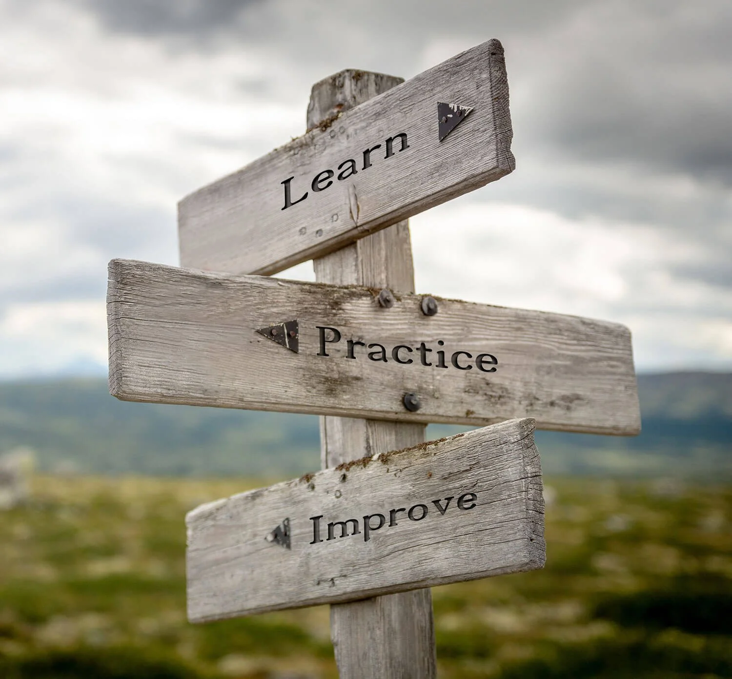 Digital Courses