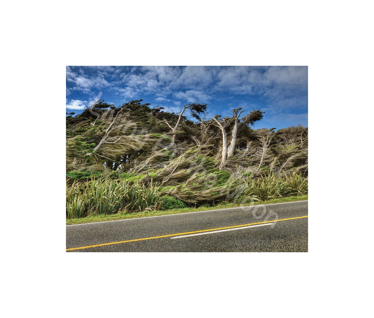 Bending Wind Print Digital