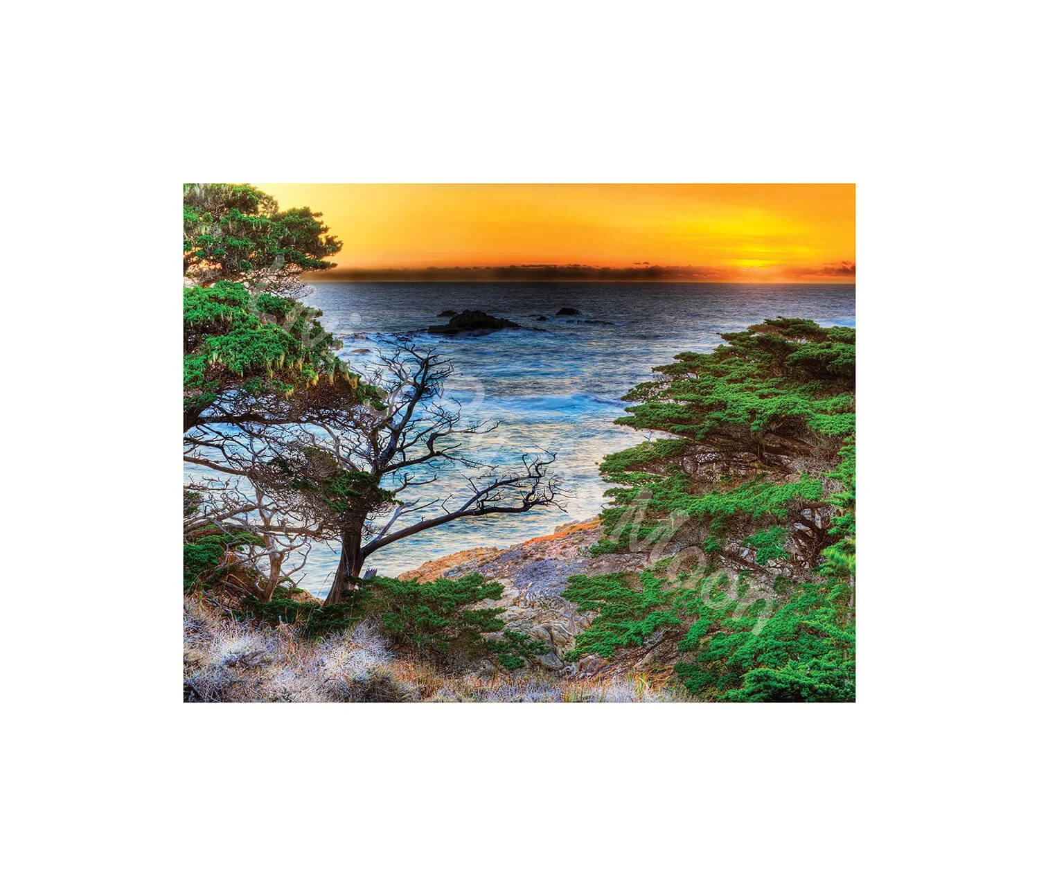 Evening Sunset Print Digital
