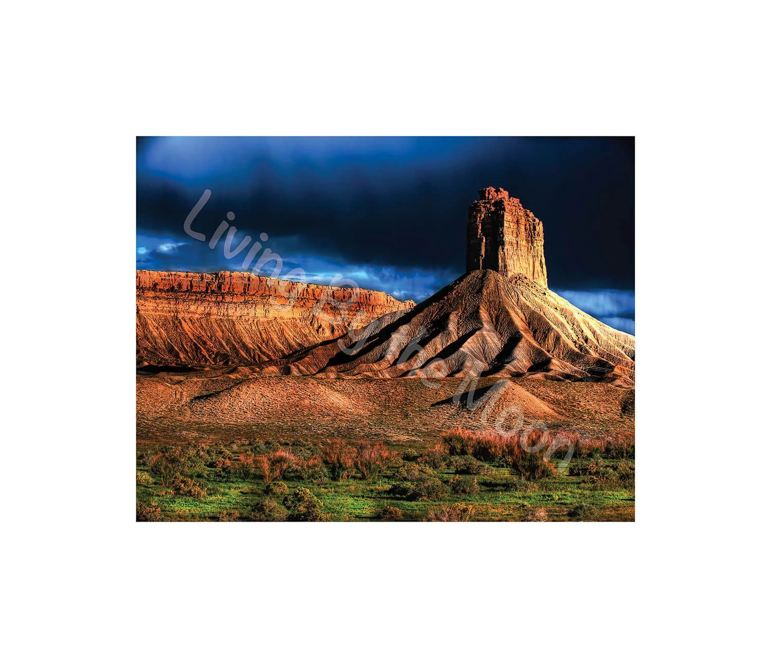 Desert Night Print Digital