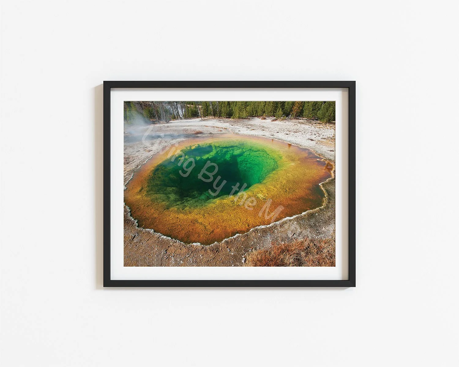 Green Hole Print Digital