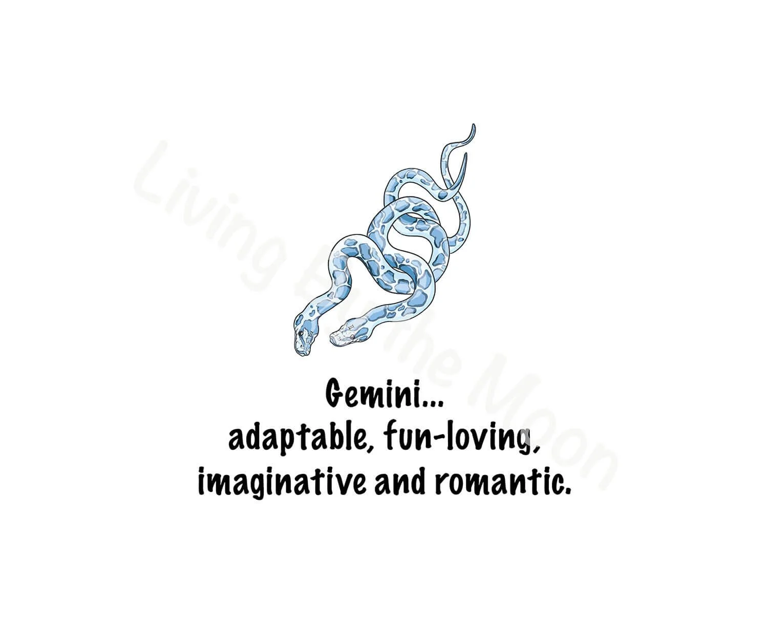 Gemini Print Digital