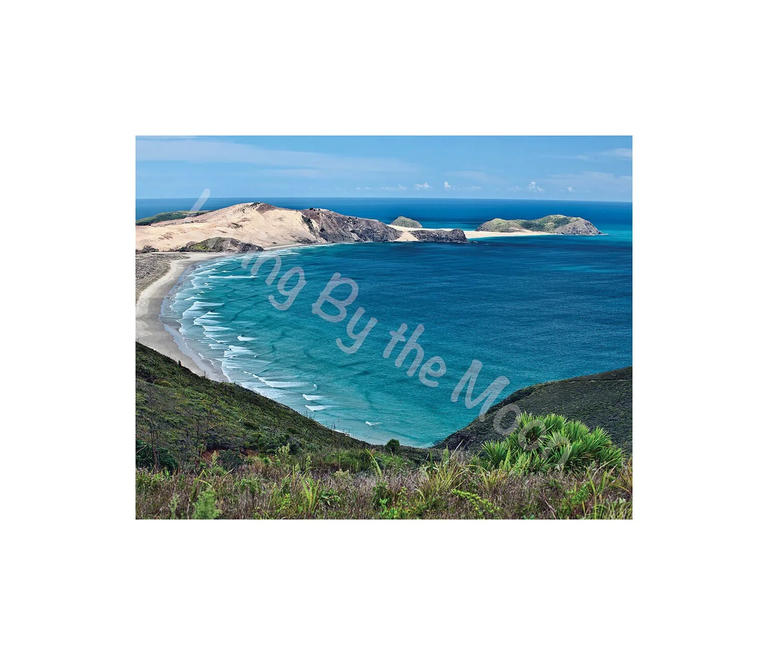 Sunny Beach Print Digital