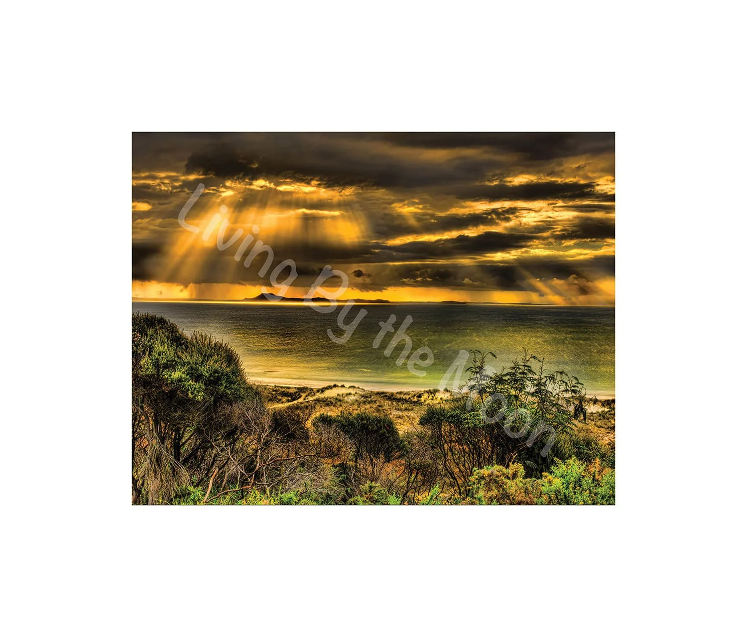 Evening Rays Print Digital
