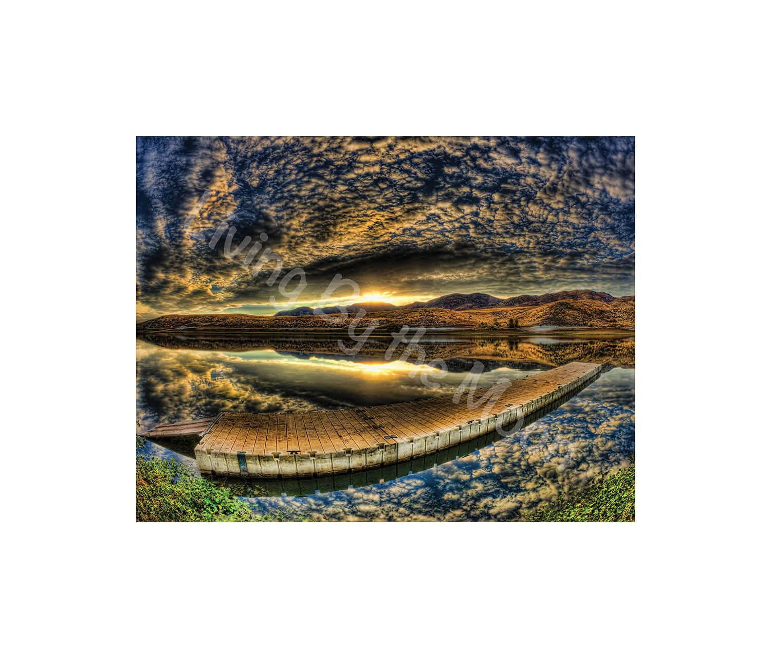 Cotton Sky Print Digital