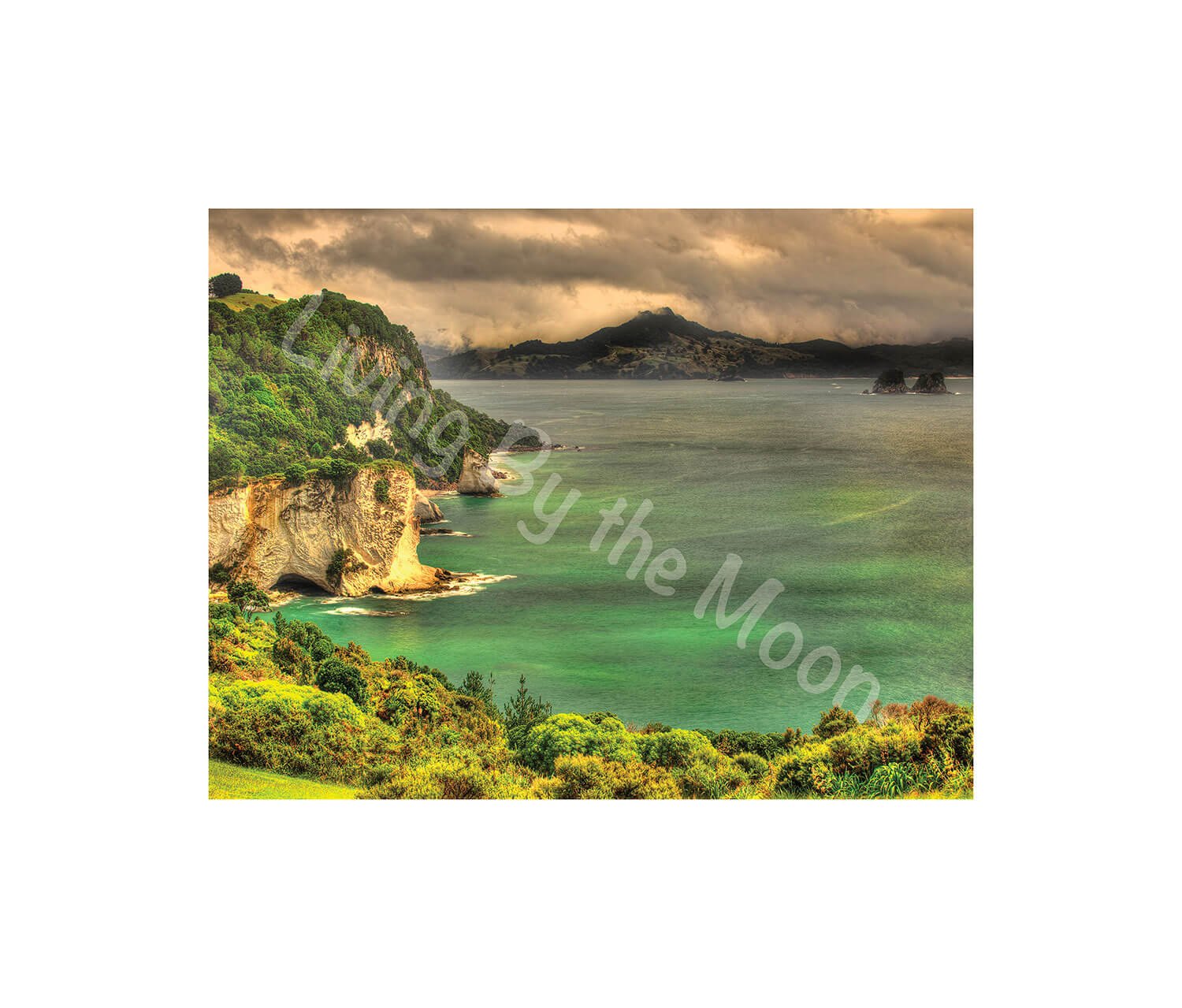 Cloudy Bay Print Digital