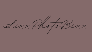 LizzPhotoBizz