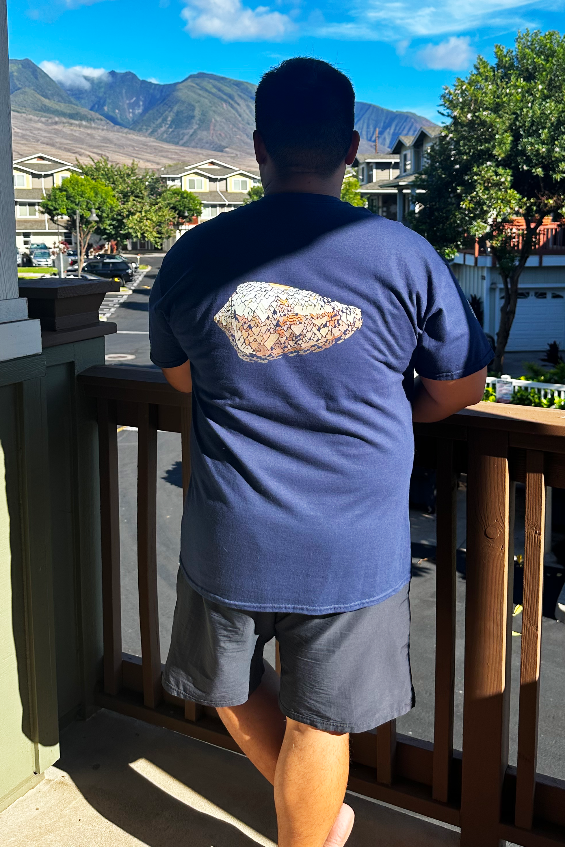 coneshell-t-m-back-k.png