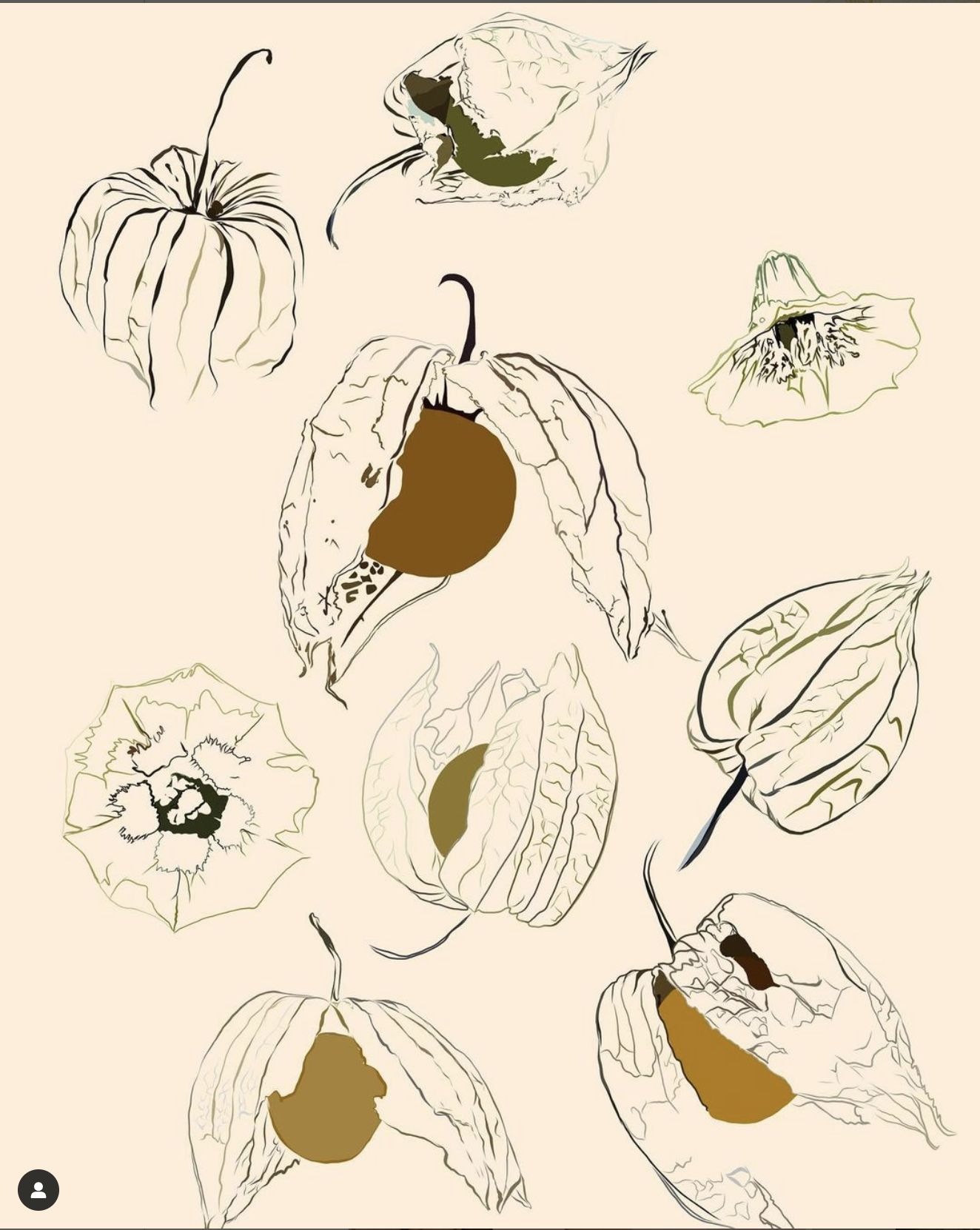 Screen Shot 2023-08-25 at 1.21.19 PM.png