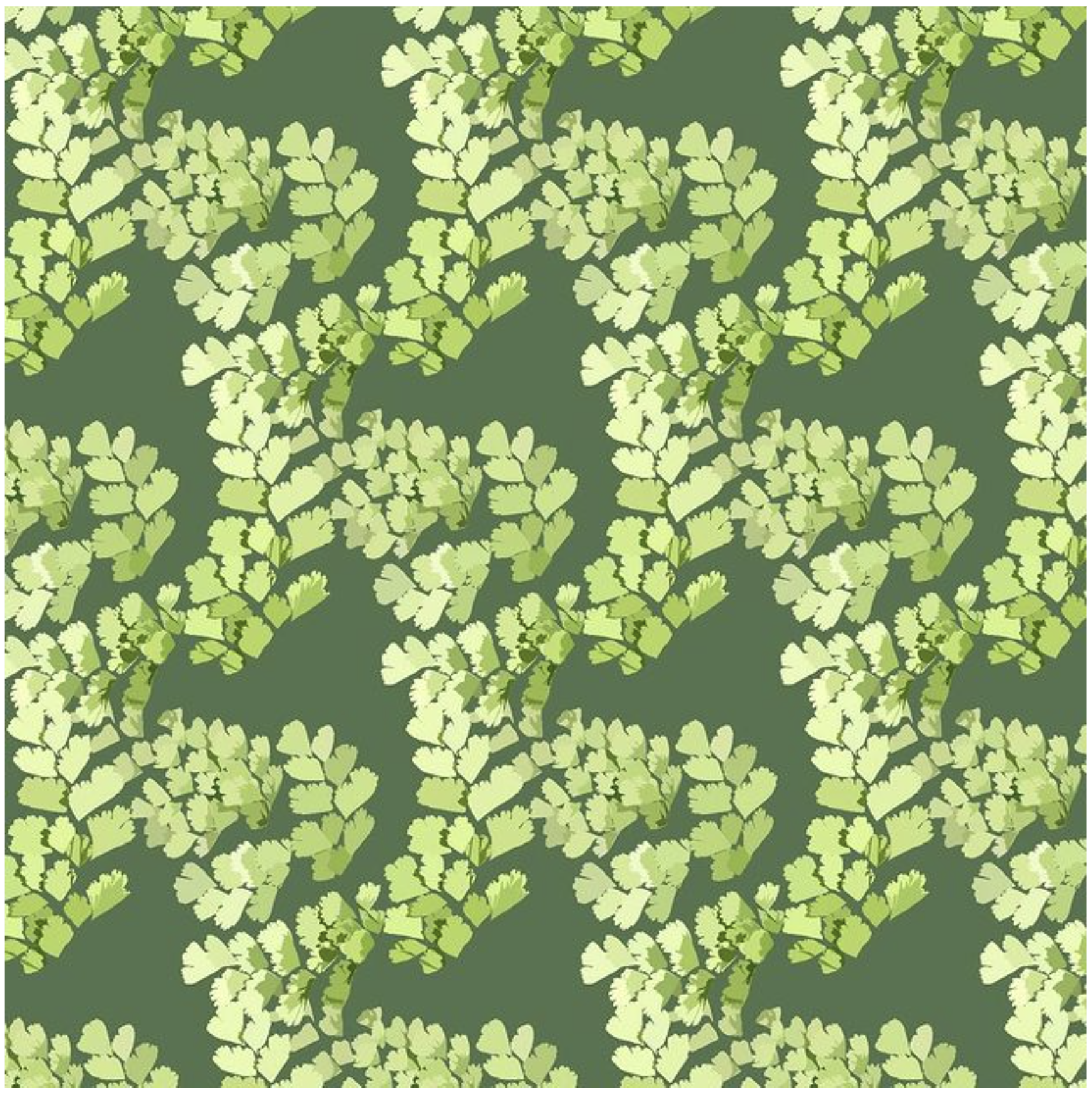 Screenshot 2024-06-01 at 6.12.55 PM.png