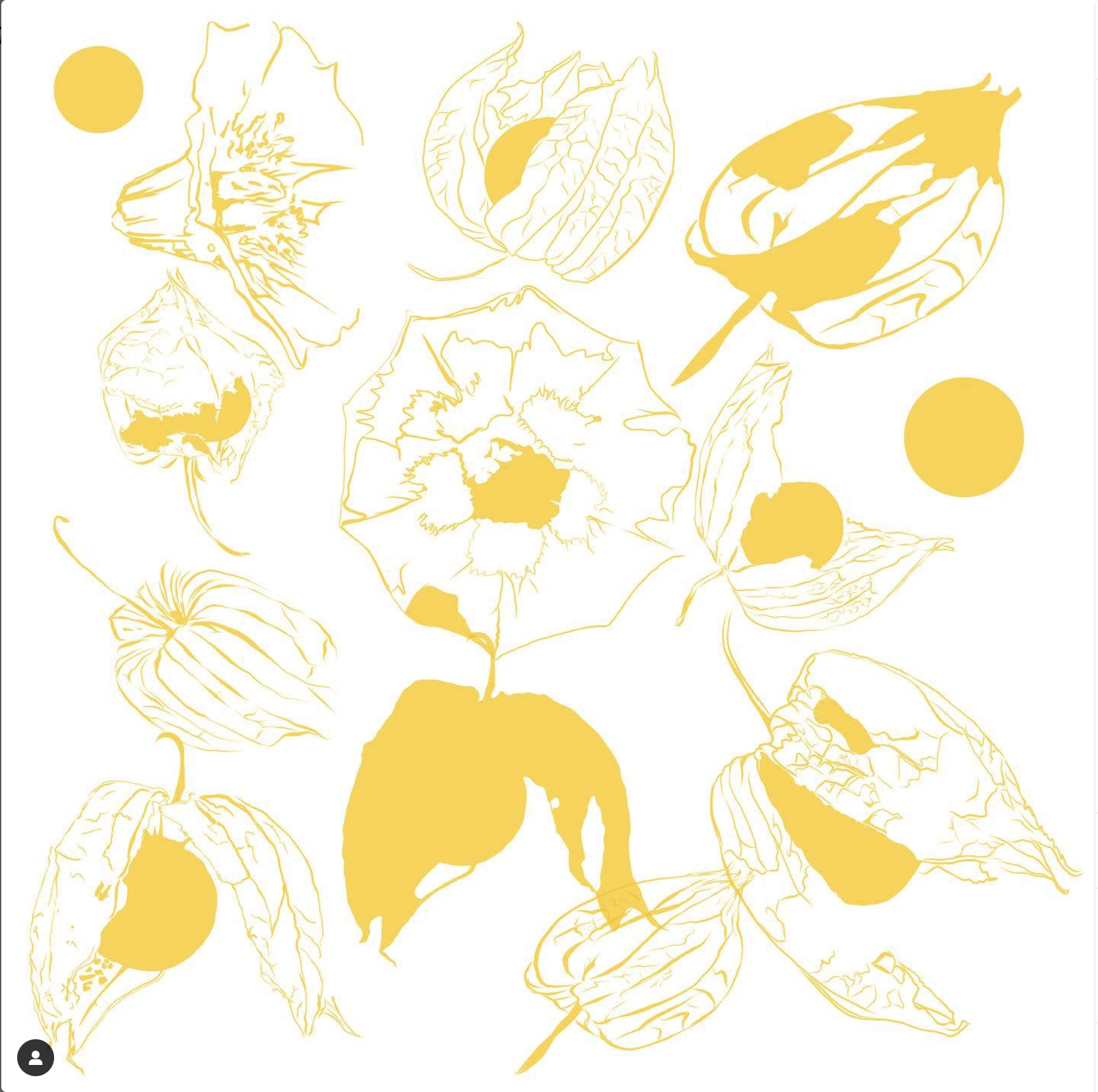 Screen Shot 2023-08-25 at 1.21.04 PM.png