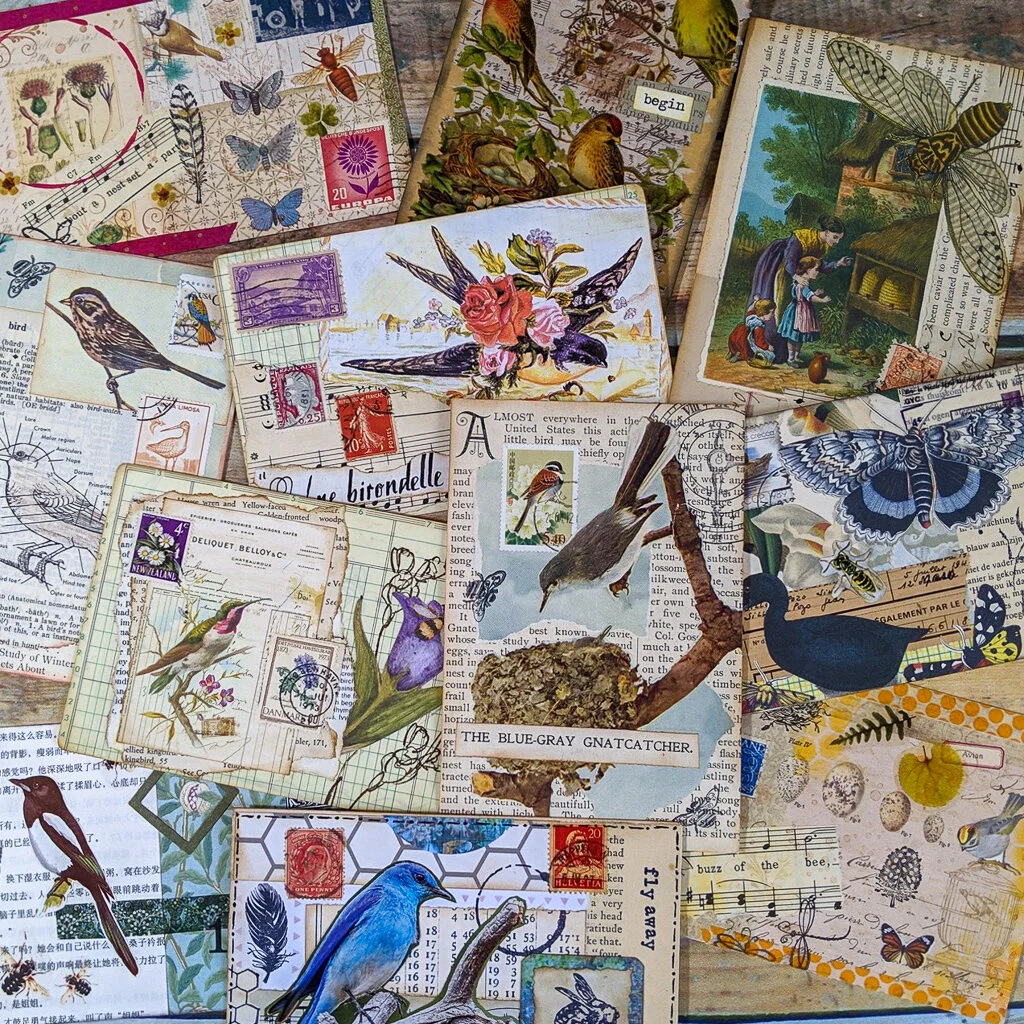 The Birds and the bees - Postcard swap