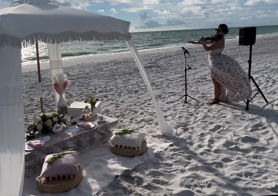 Violinist_Bridgerton Picnic.jpg